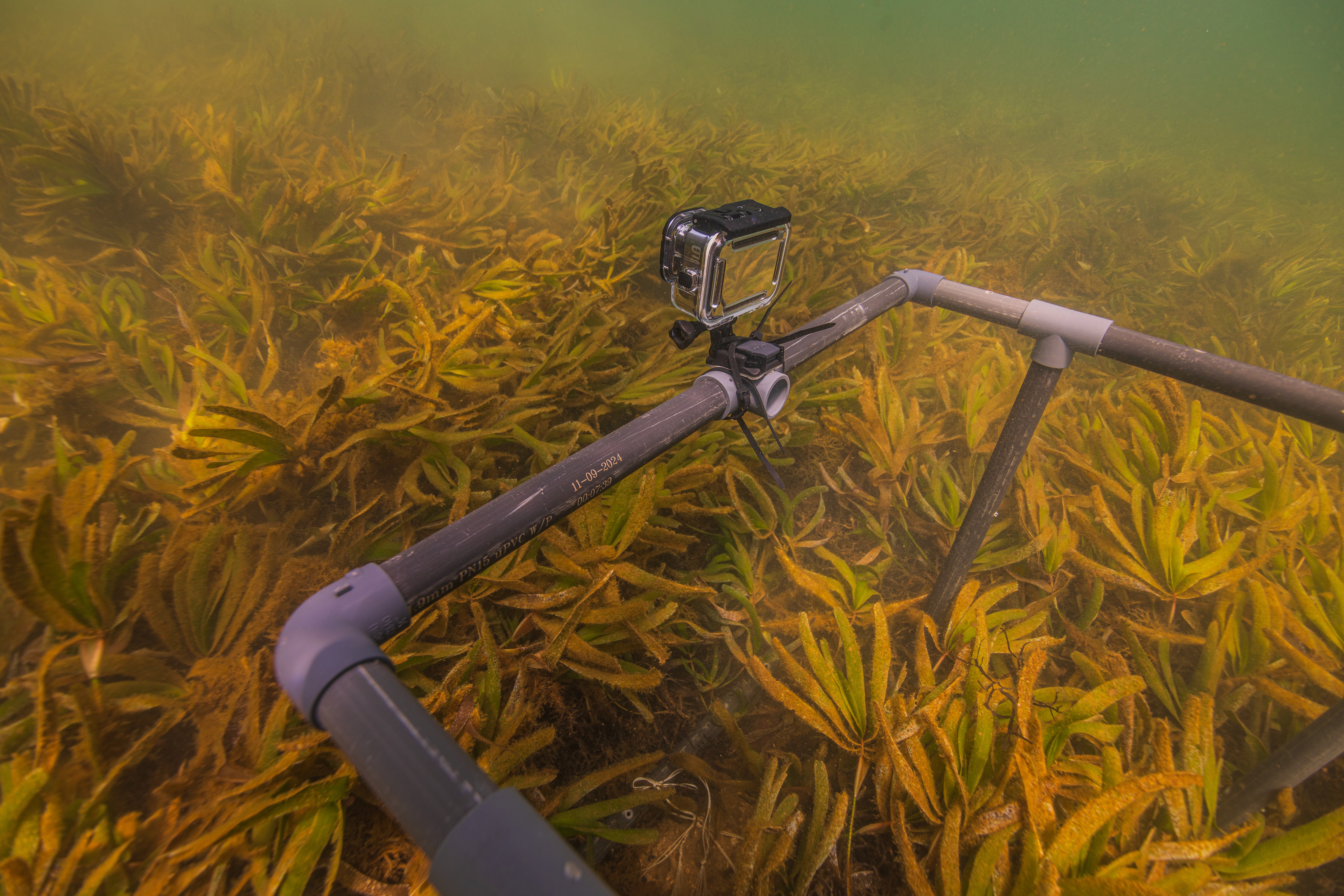 A gopro camera attached to a frame overlooking seagrass (c) Anthony Ochieng Onyango
