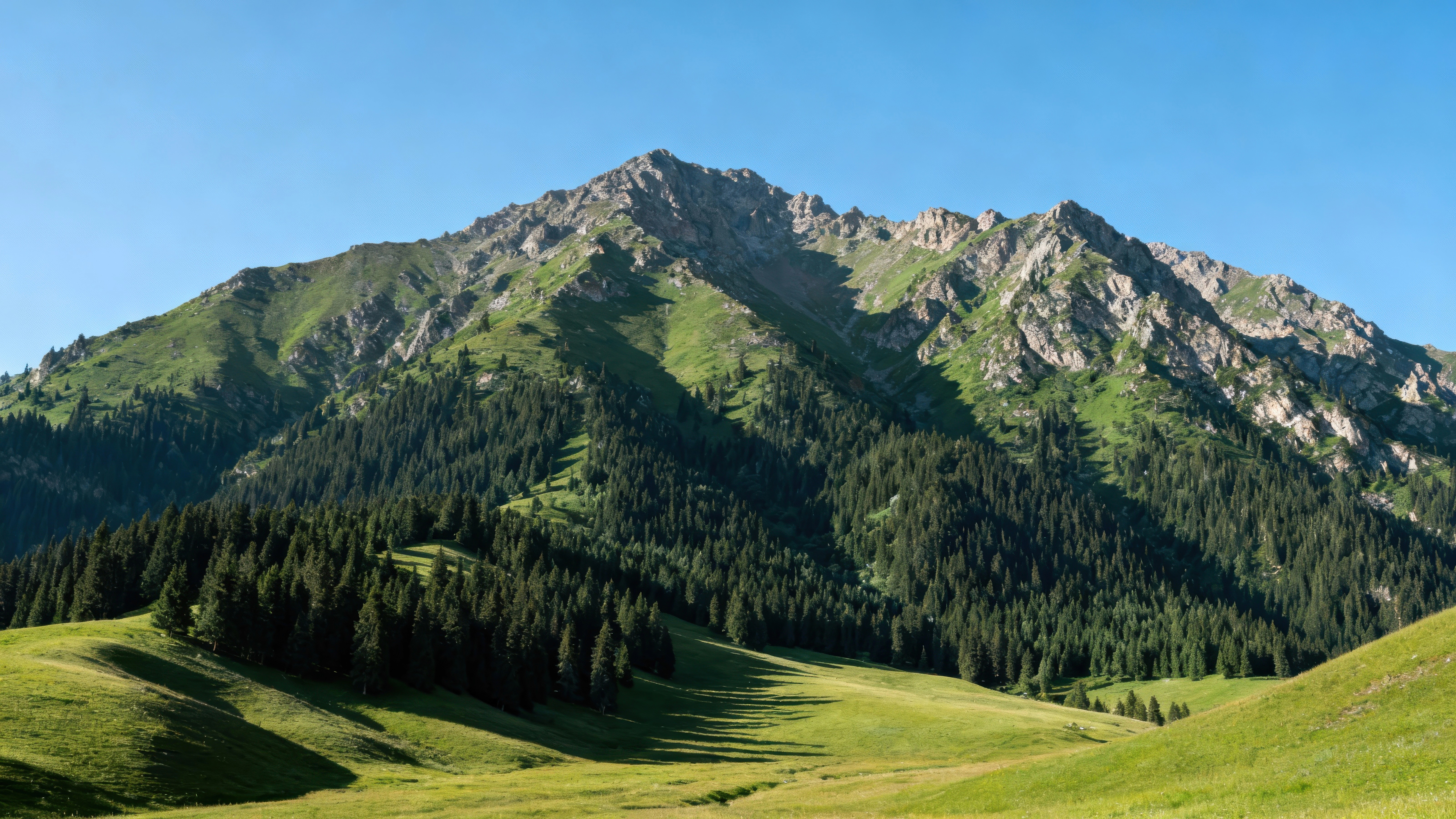 red train travelling near body of water