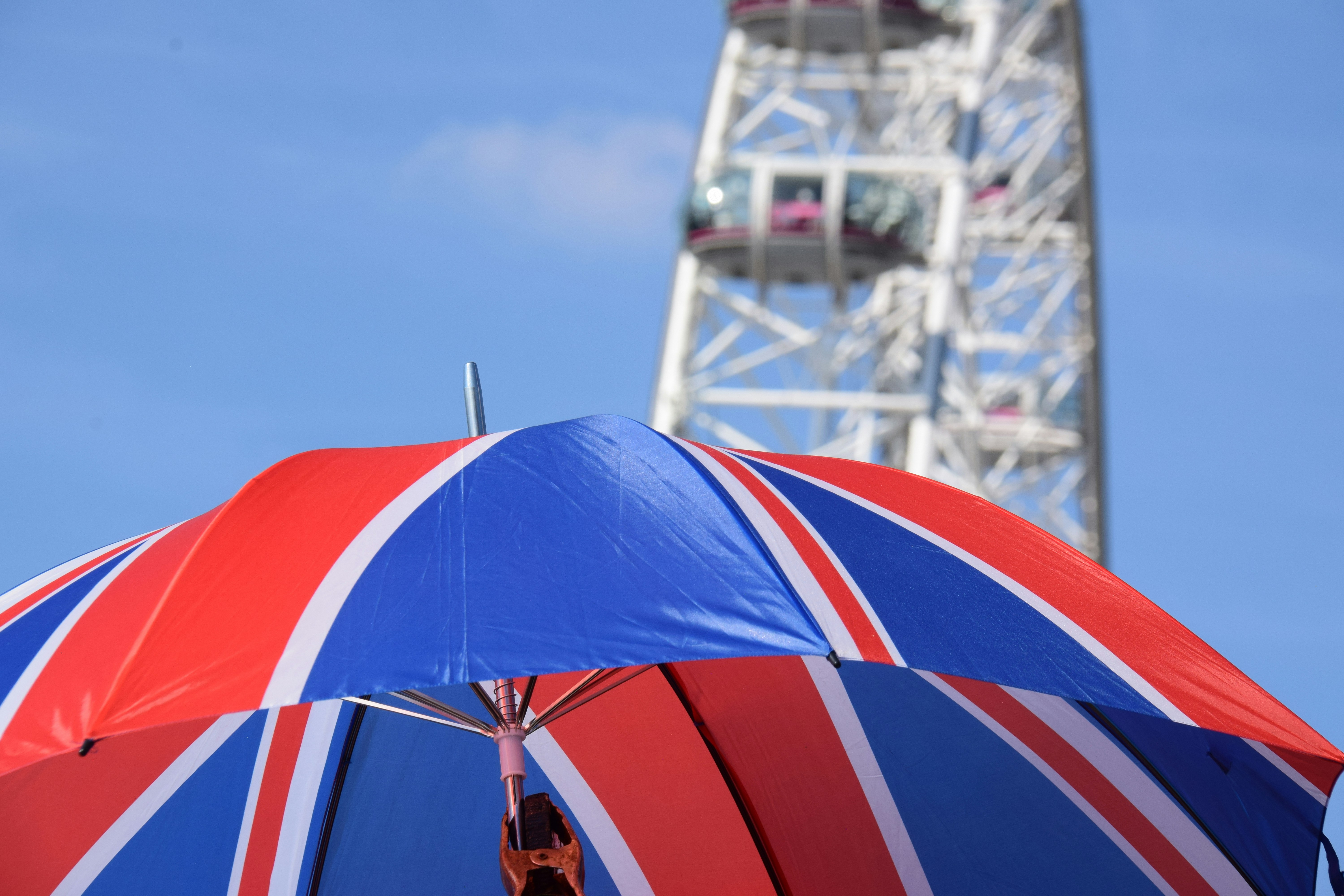 five toddlers near the window