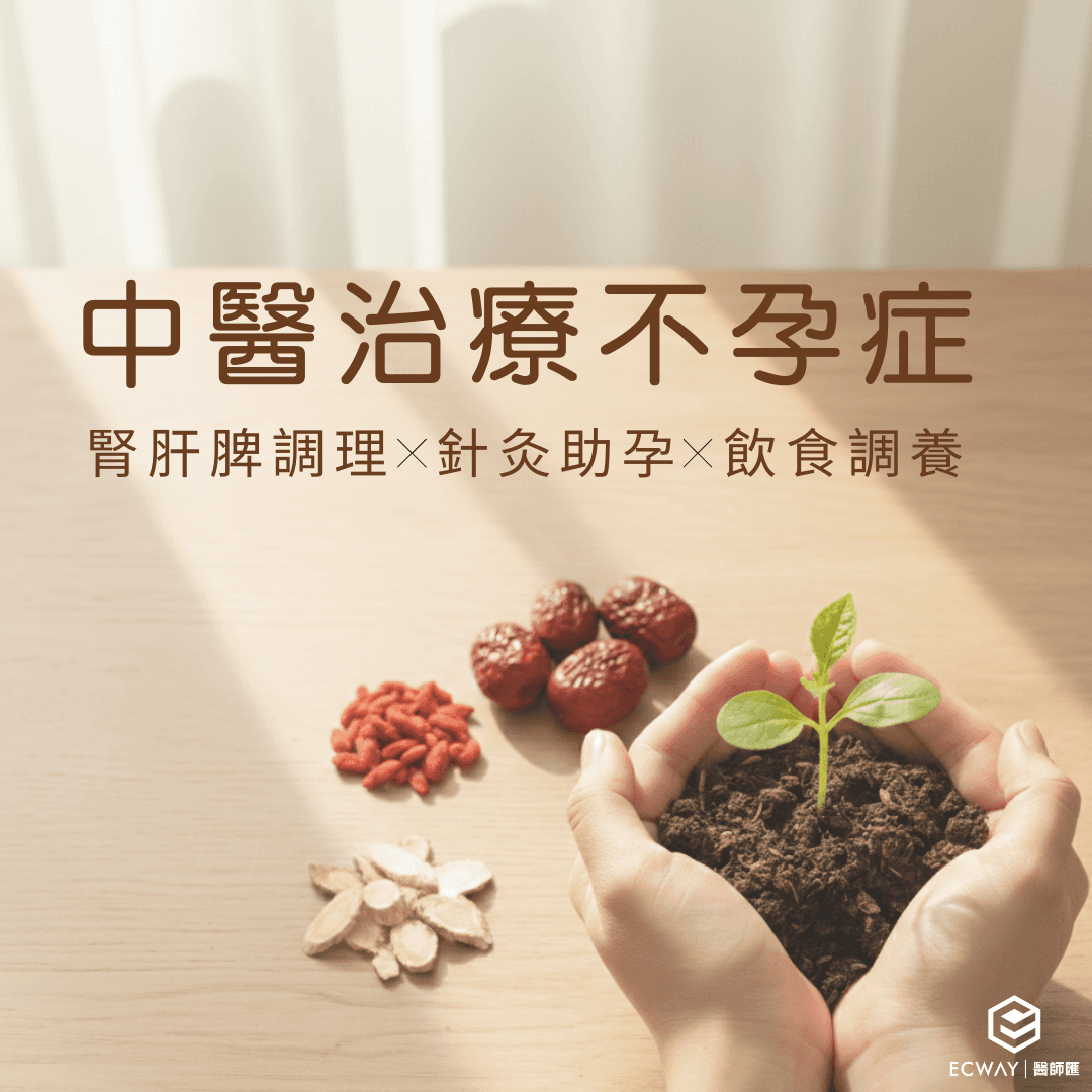 中醫治療不孕症｜由腎肝脾調理 針灸助孕 到飲食調養 