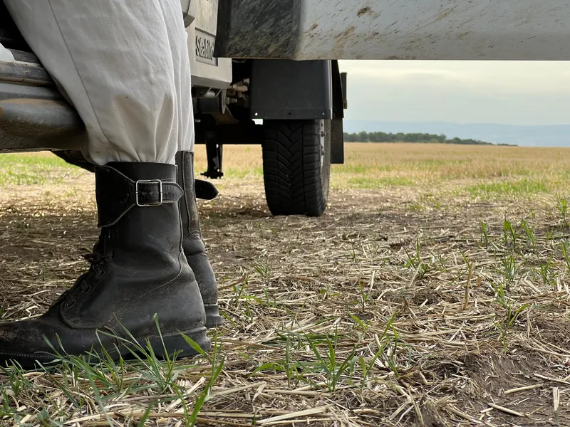 Pillanatkép a Bazsó Méhészet életéből – generációk óta prémium méz készítés