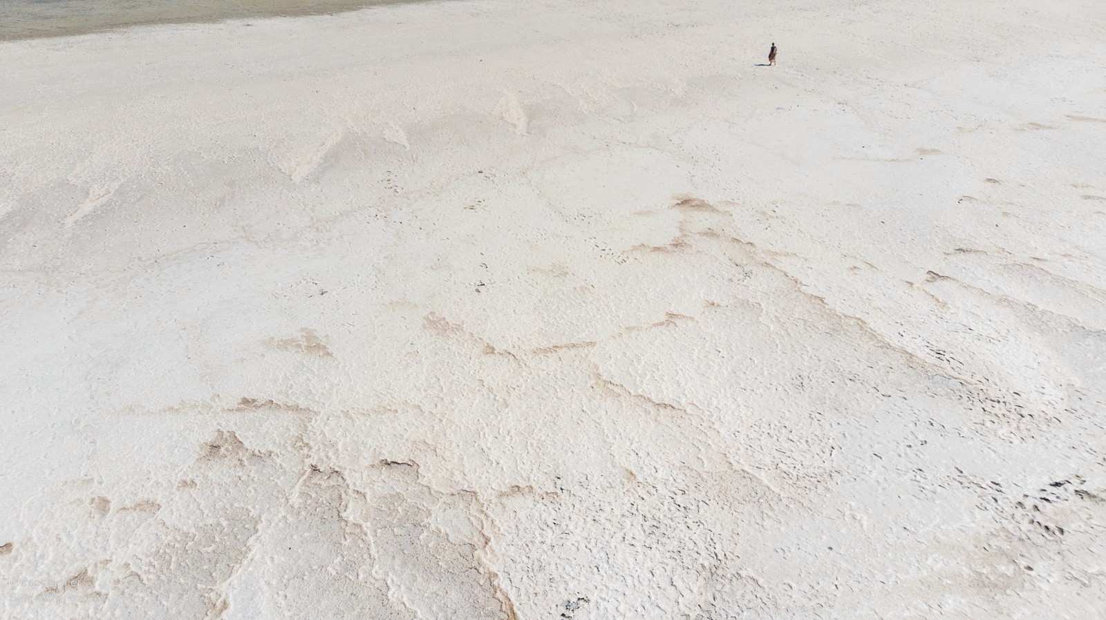 Одесский Куяльник, розовое цветение. Фотограф Сергей Чирков. 