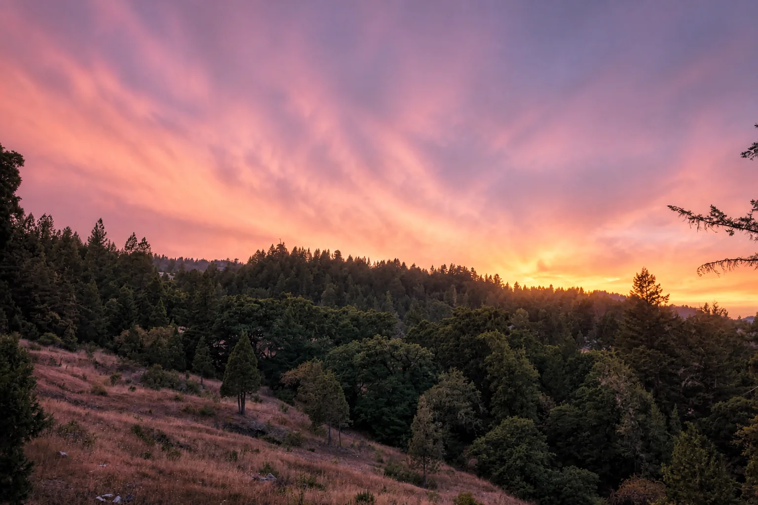 A pink sunset over the forested hills at Dark Fairy Farm.
