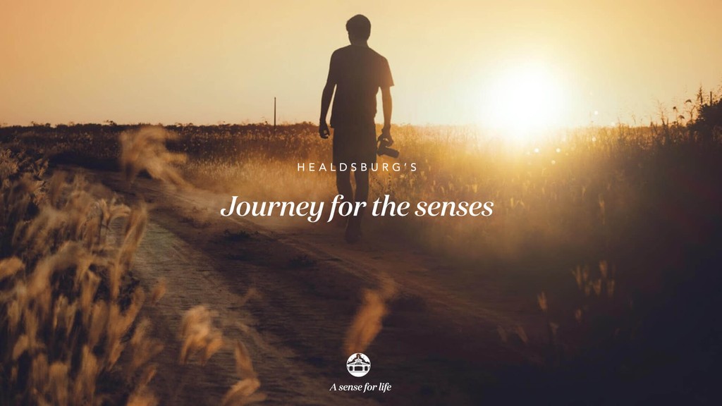 Healdsburg Journey for the senses