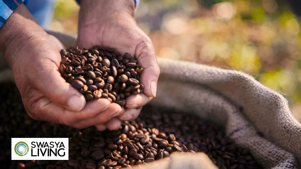  Ultimate Guide to Arabica Coffee