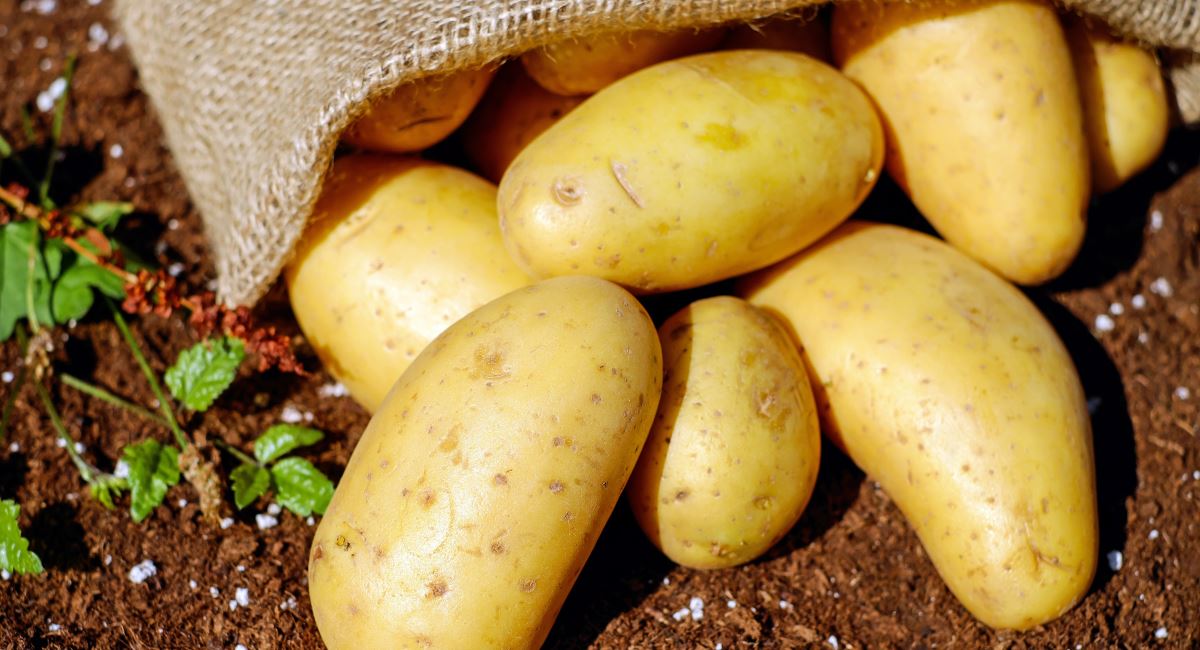 Le proprietà nutrizionali delle patate