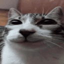 purple lotion bottle