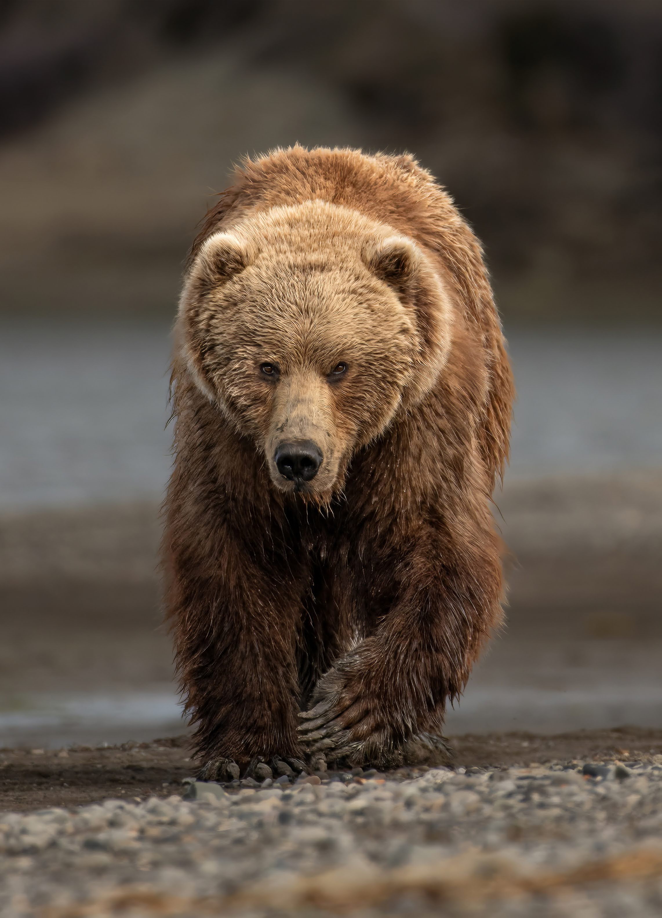 Photo of Irene in a neon scene