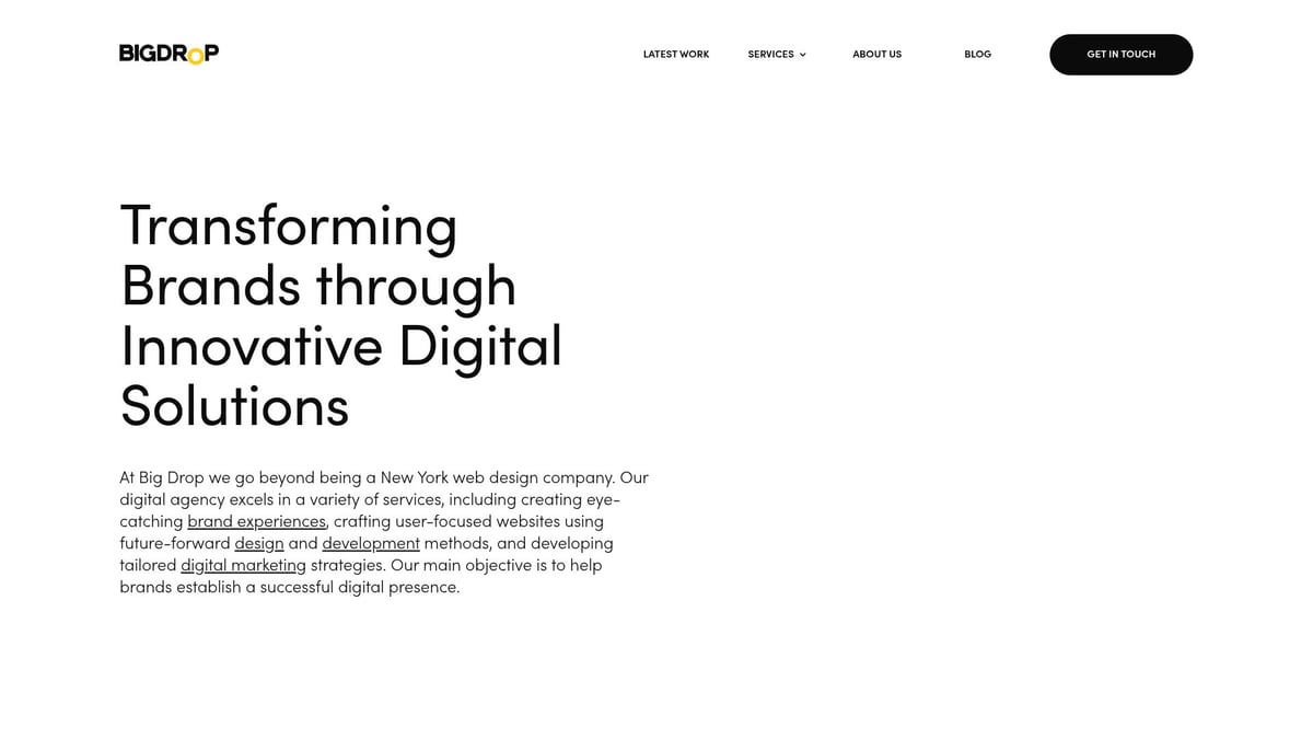 7 Leading Web Design and Development Agency Picks for 2025 - Big Drop Inc.