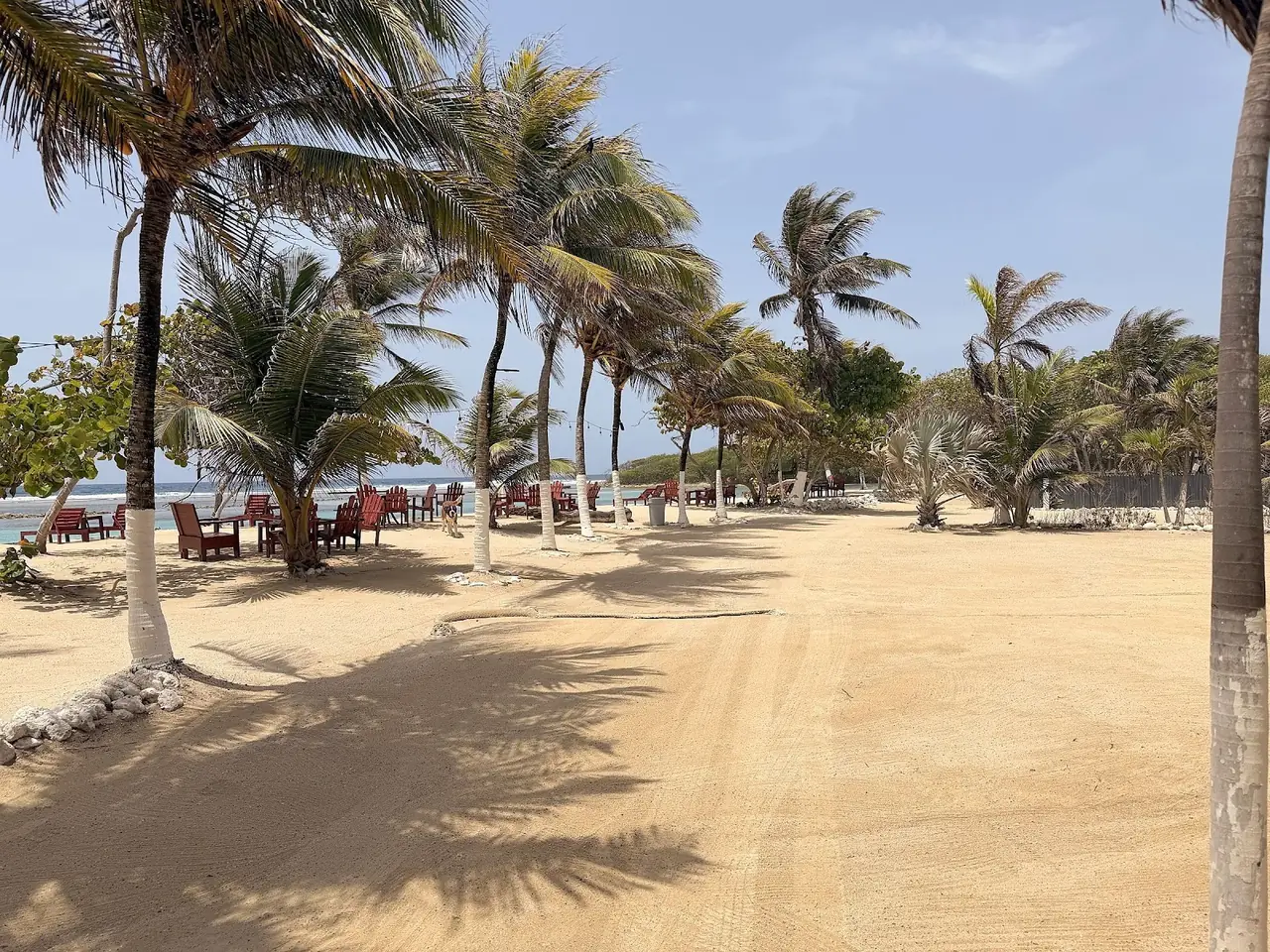 Red wooden chairs and tables under palm trees on a Roatán beach with the reef visible offshore