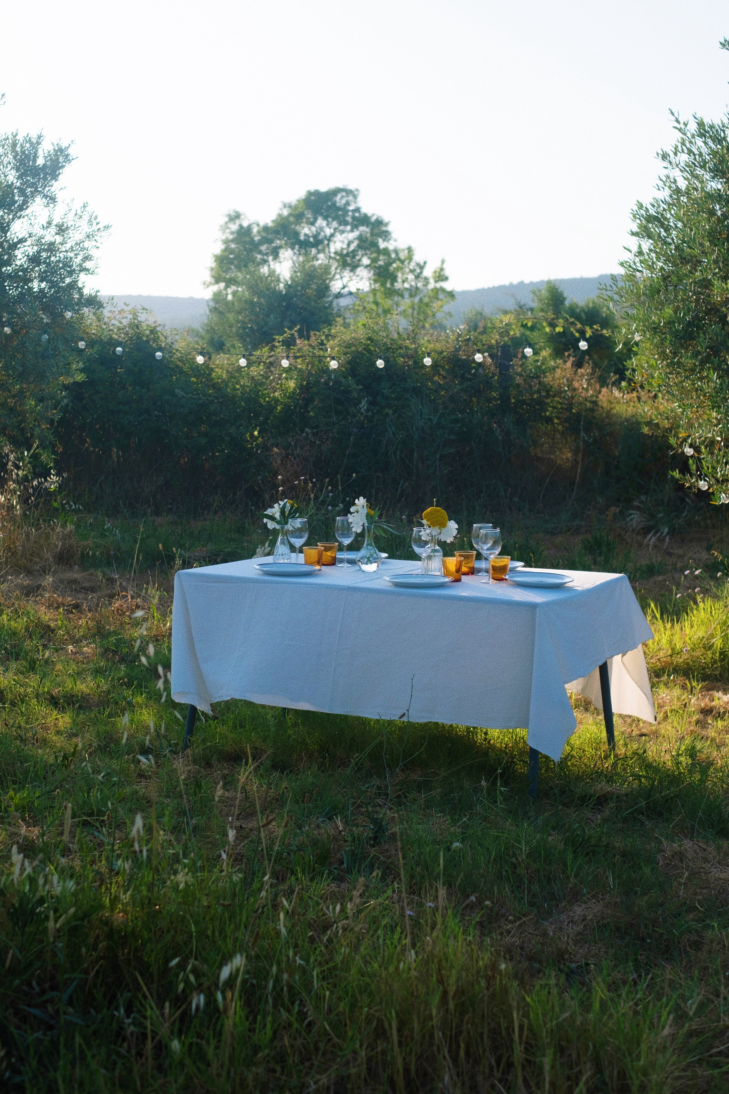 Bowl of oats and figs