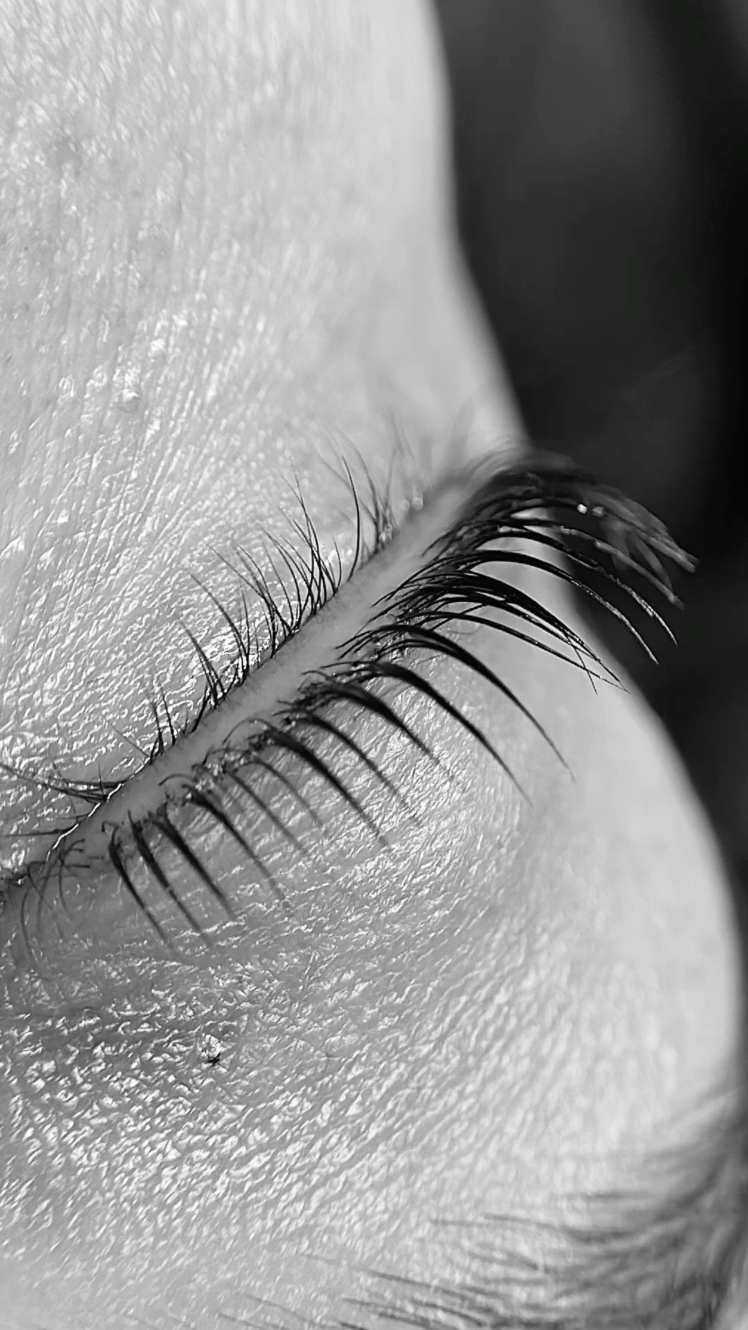 BĒBOHĀ - Wimpern 2