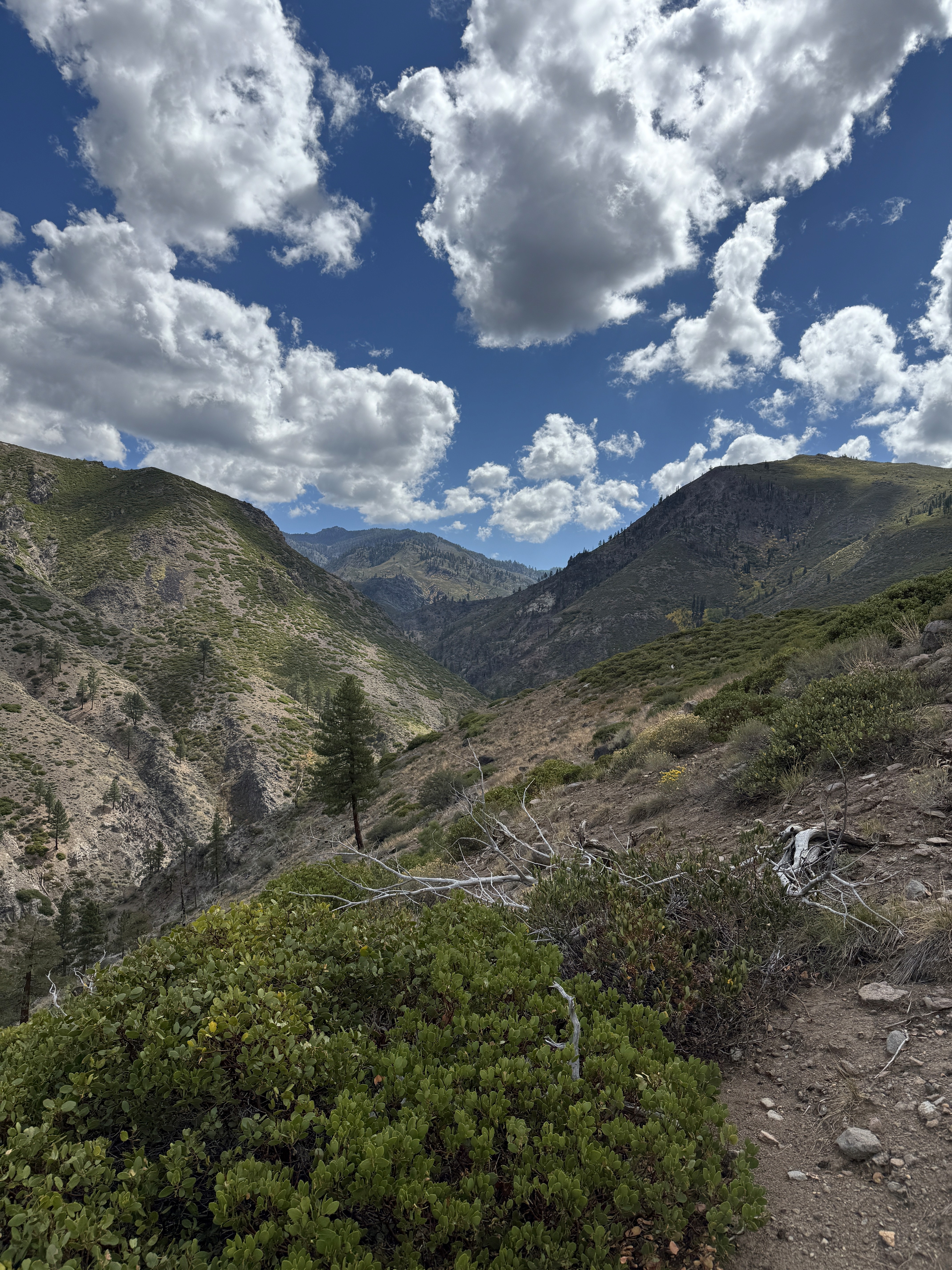 Mount Rose Wilderness