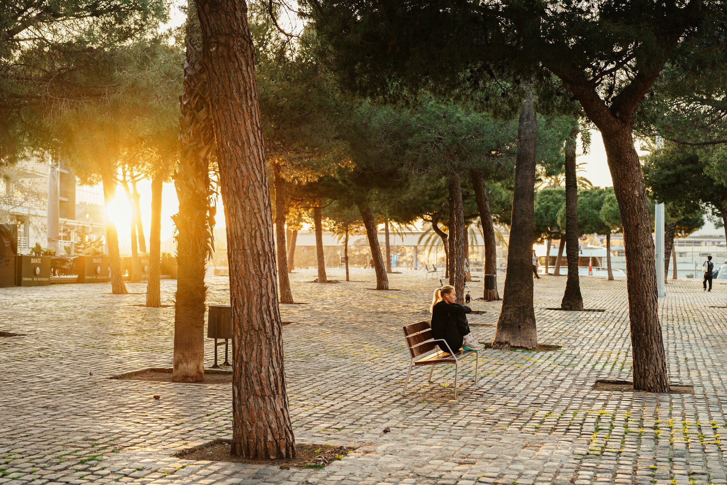 Parque al atardecer con una sensación tranquila y cálida