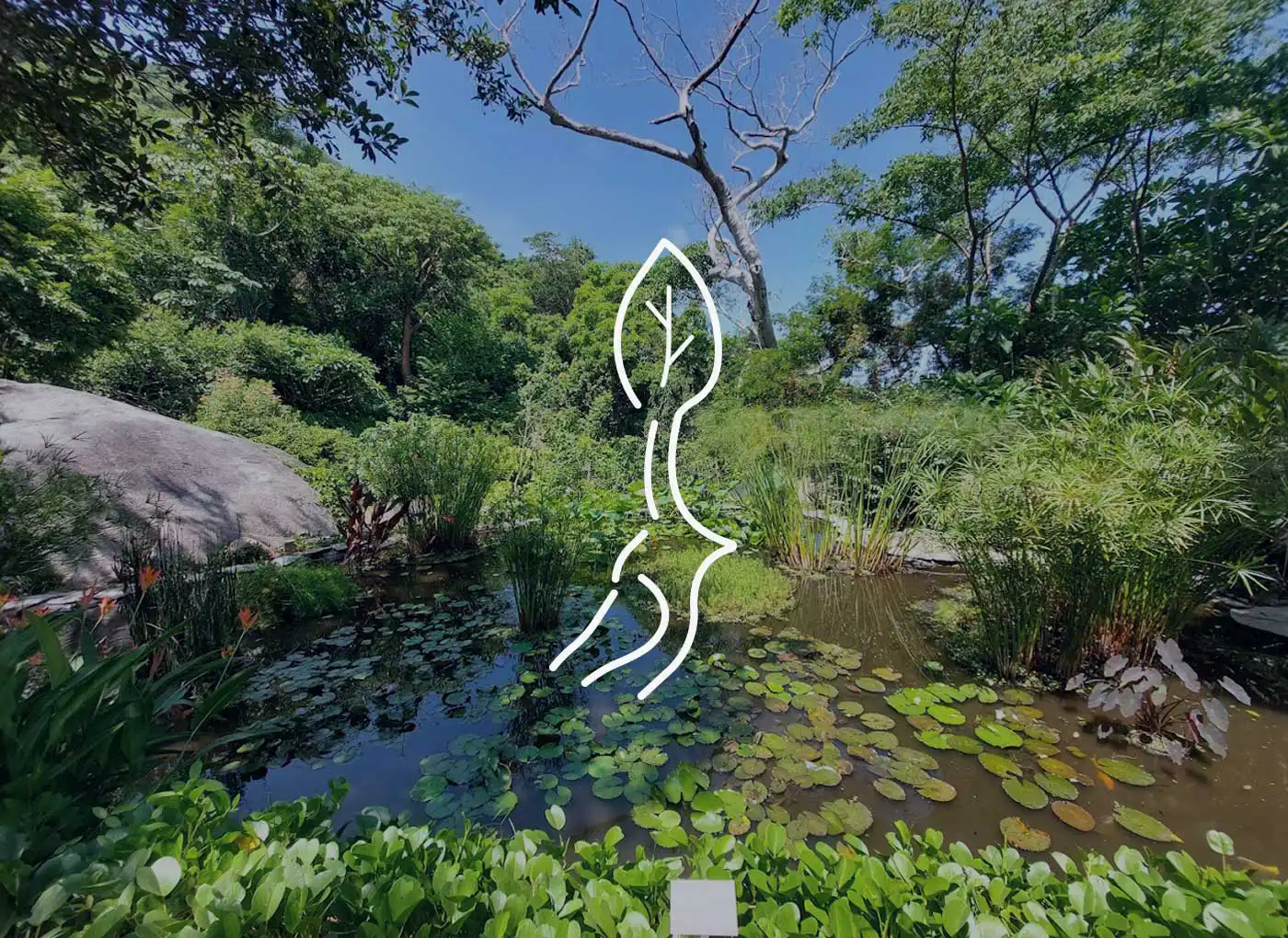 ULP - Jardín botánico