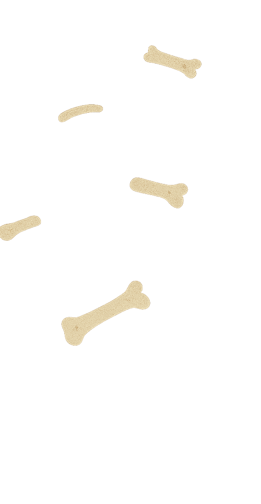 Illustration pixel art d'os