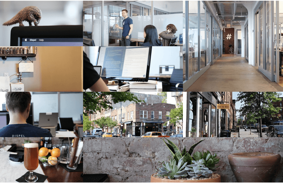 A collage of Dispel office images