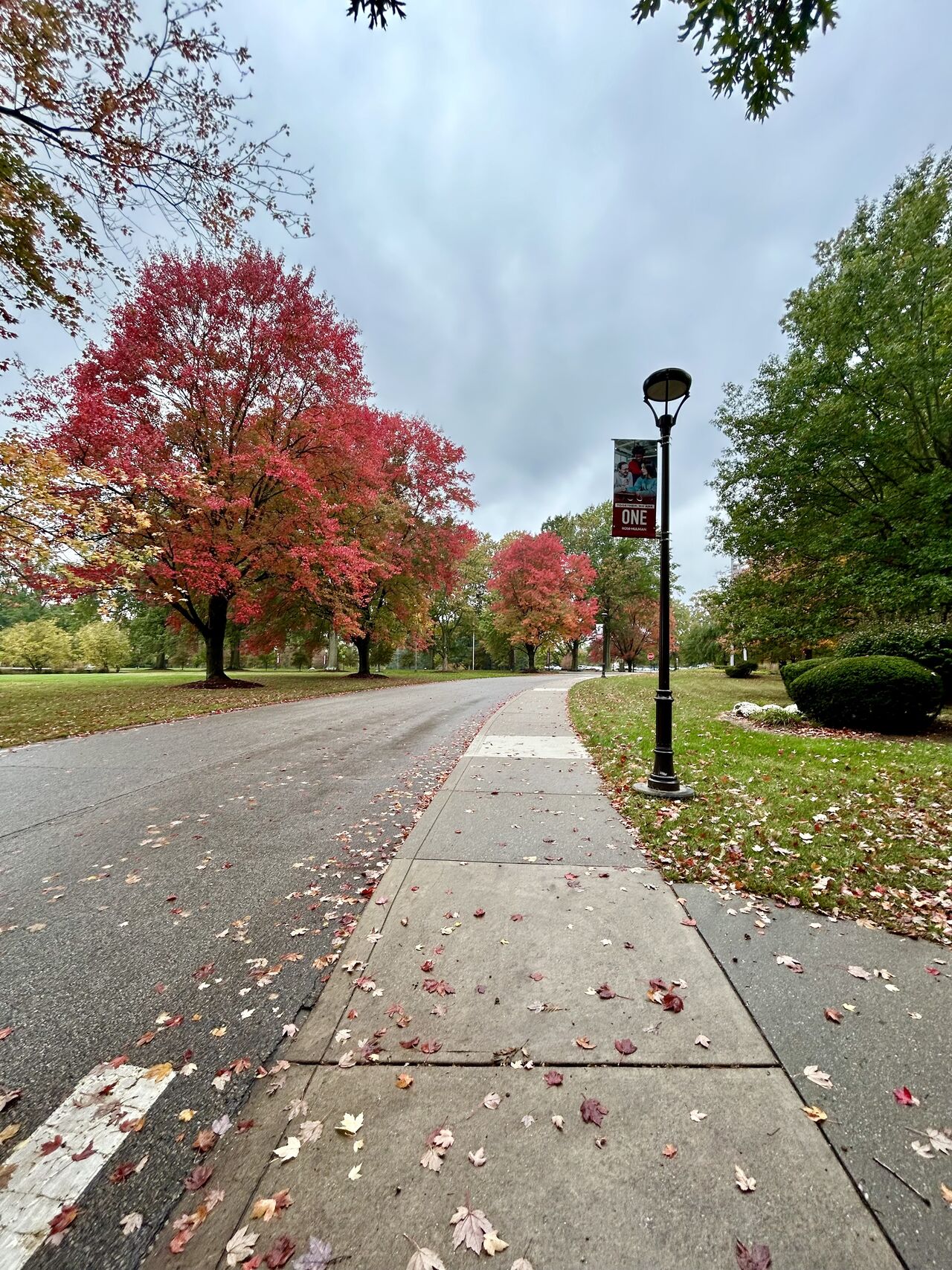 A road and sidewalk on a college campus with a streetpost featuring a college banner hanging from it.