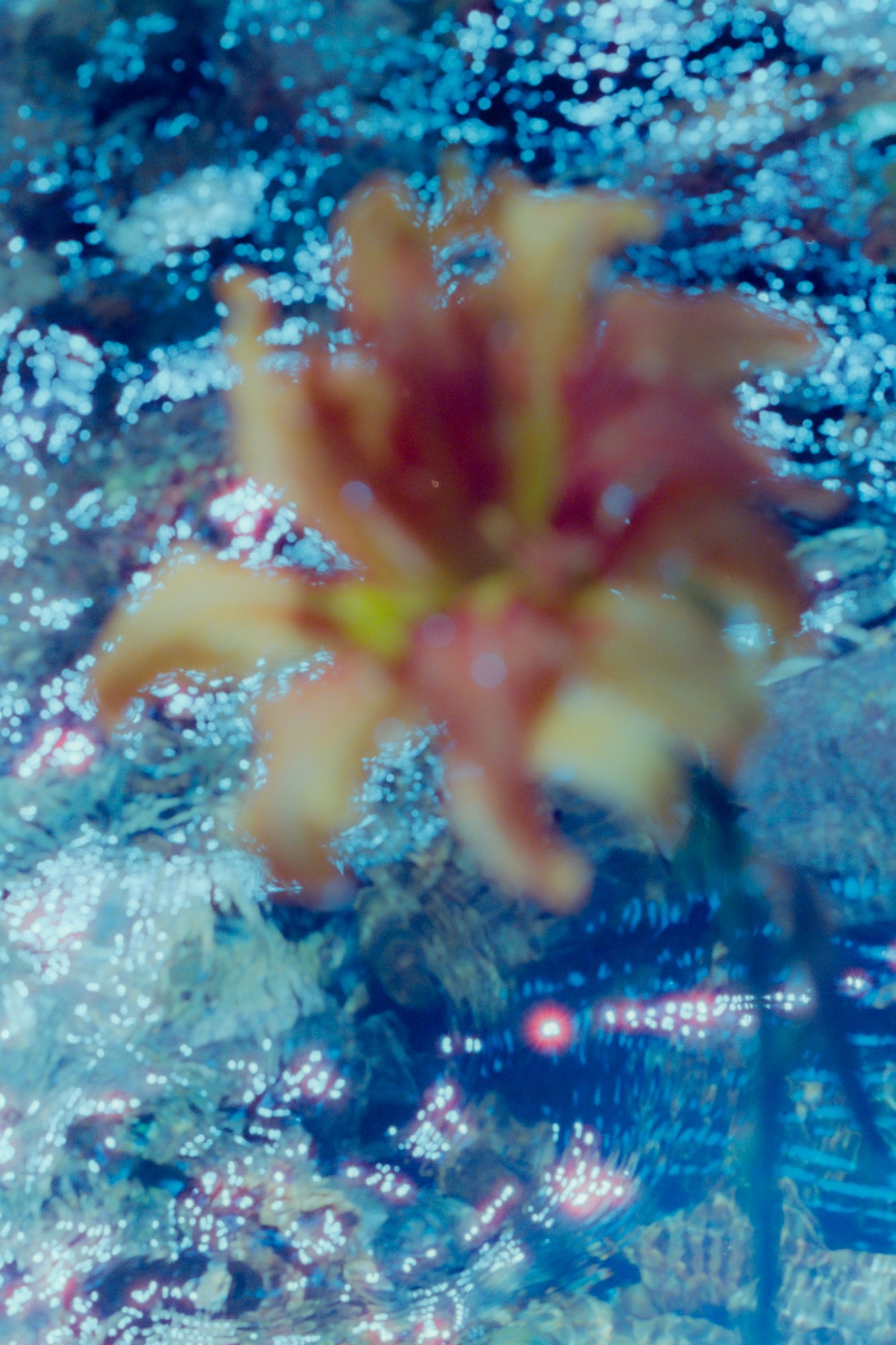 Taisei Matsumoto, 2023 exhibition work 031