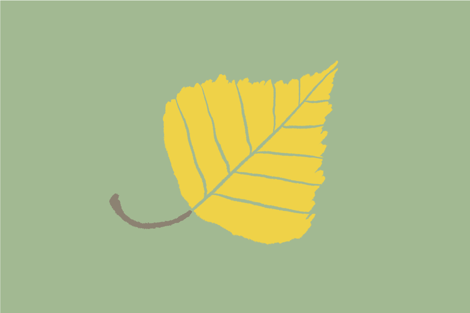 A hand-rendered illustration of a yellow birch tree leaf on a pale green background.