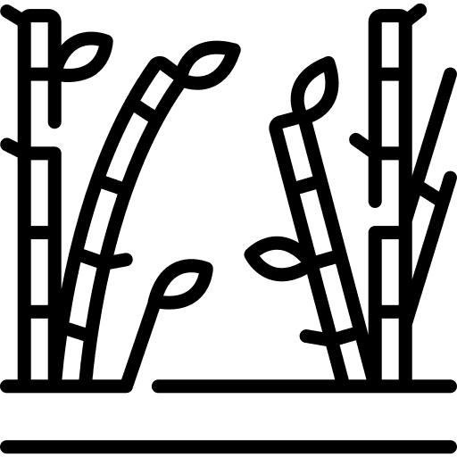 Cultures Innovantes & Biomasse