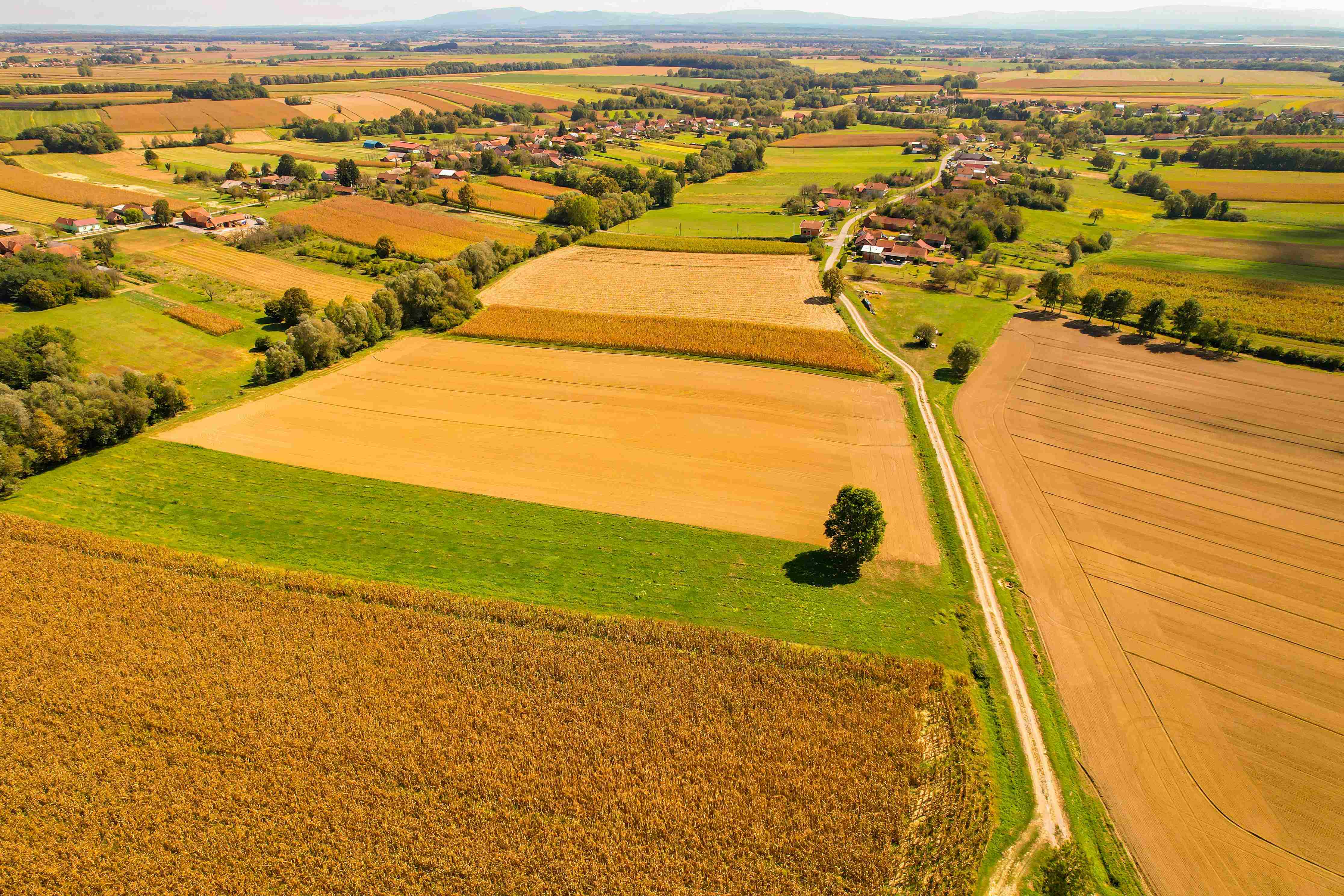 agricultural land in Fethiye Turkey
