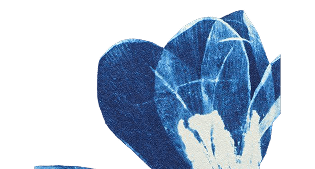 white oval shape with a black background