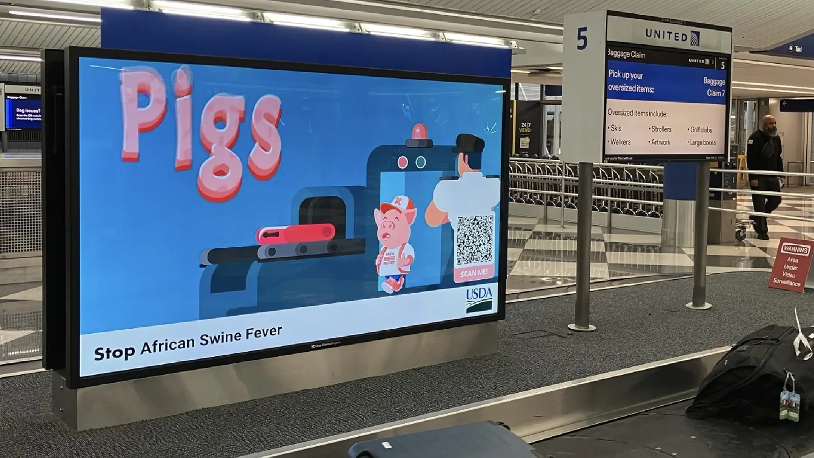 USDA: Pigs Don’t Fly