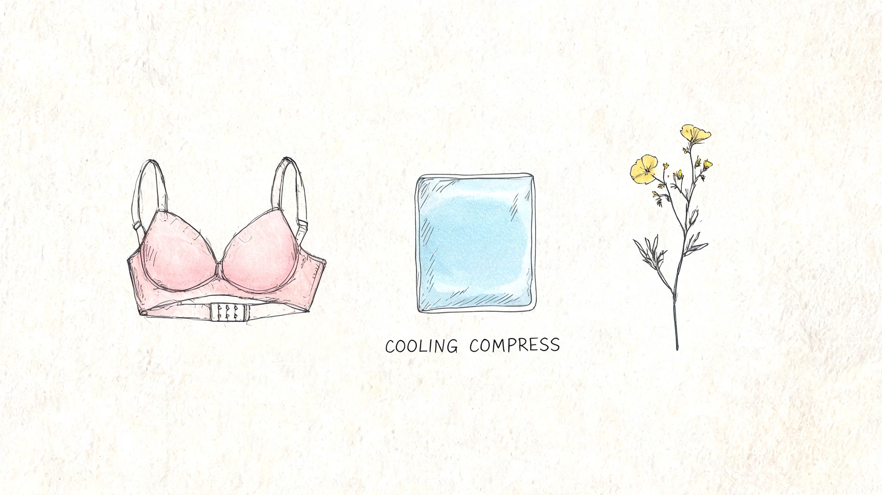 A hand-drawn illustration depicting a pink bra, a blue cooling compress, and a yellow wildflower stem.