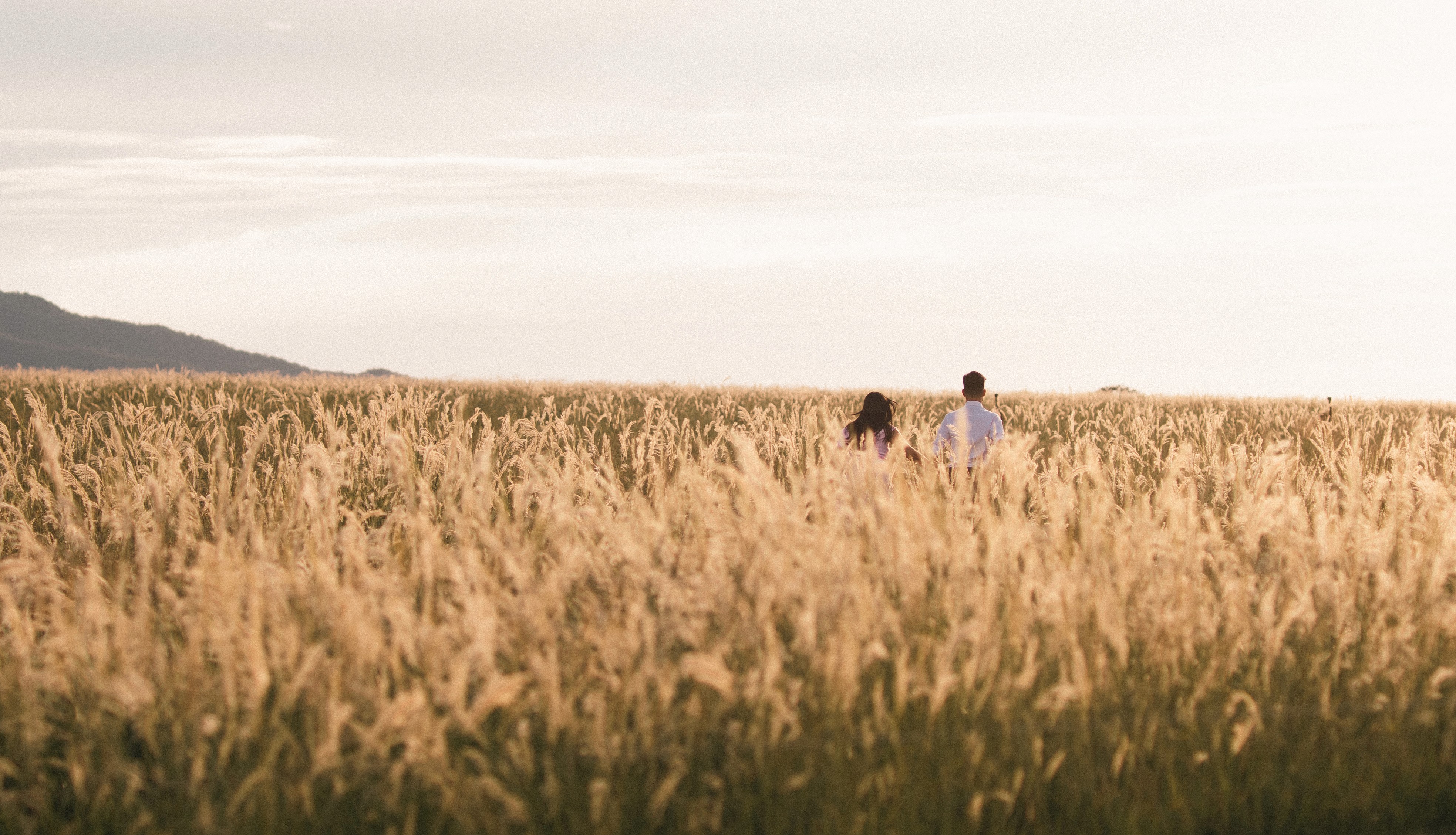 Sienna minimal portrait