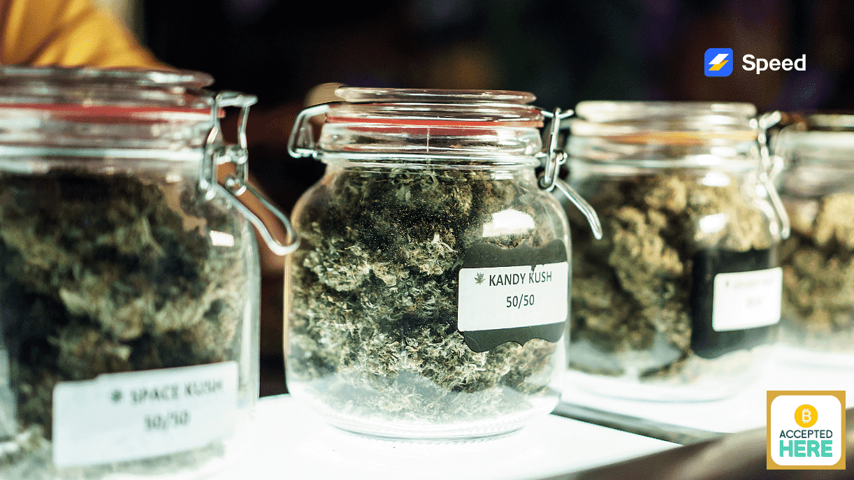 How Speed can Help Cannabis Industry with Bitcoin Payments?