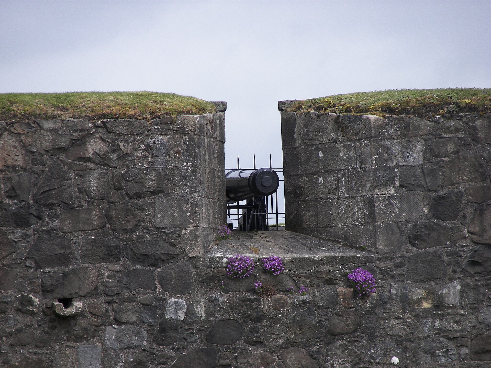 a valley with mountains in the background