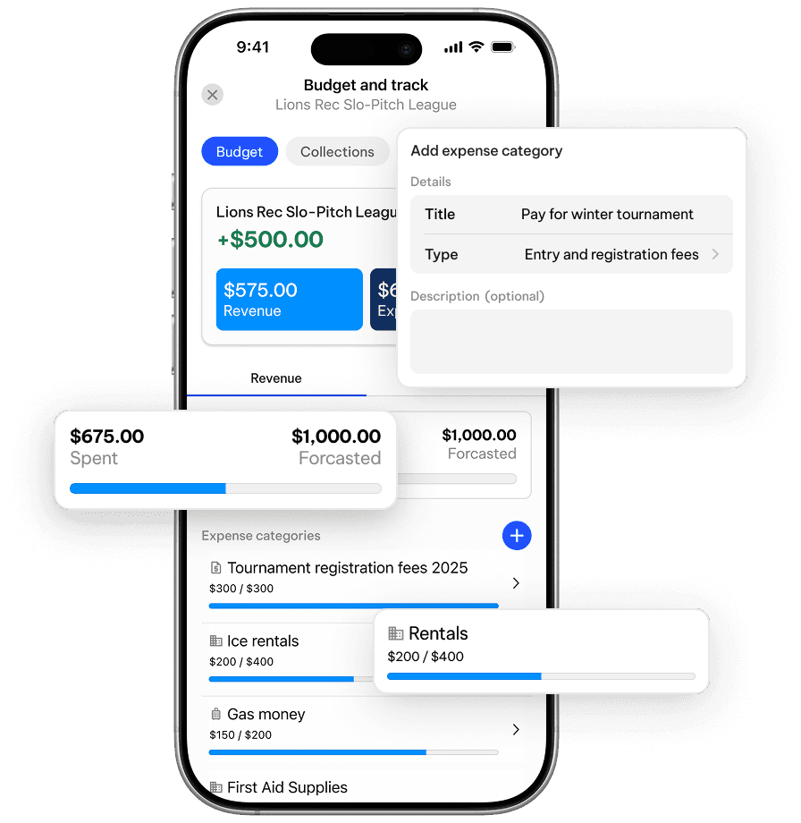 TeamLinkt's Slo-Pitch Team Budget Tool