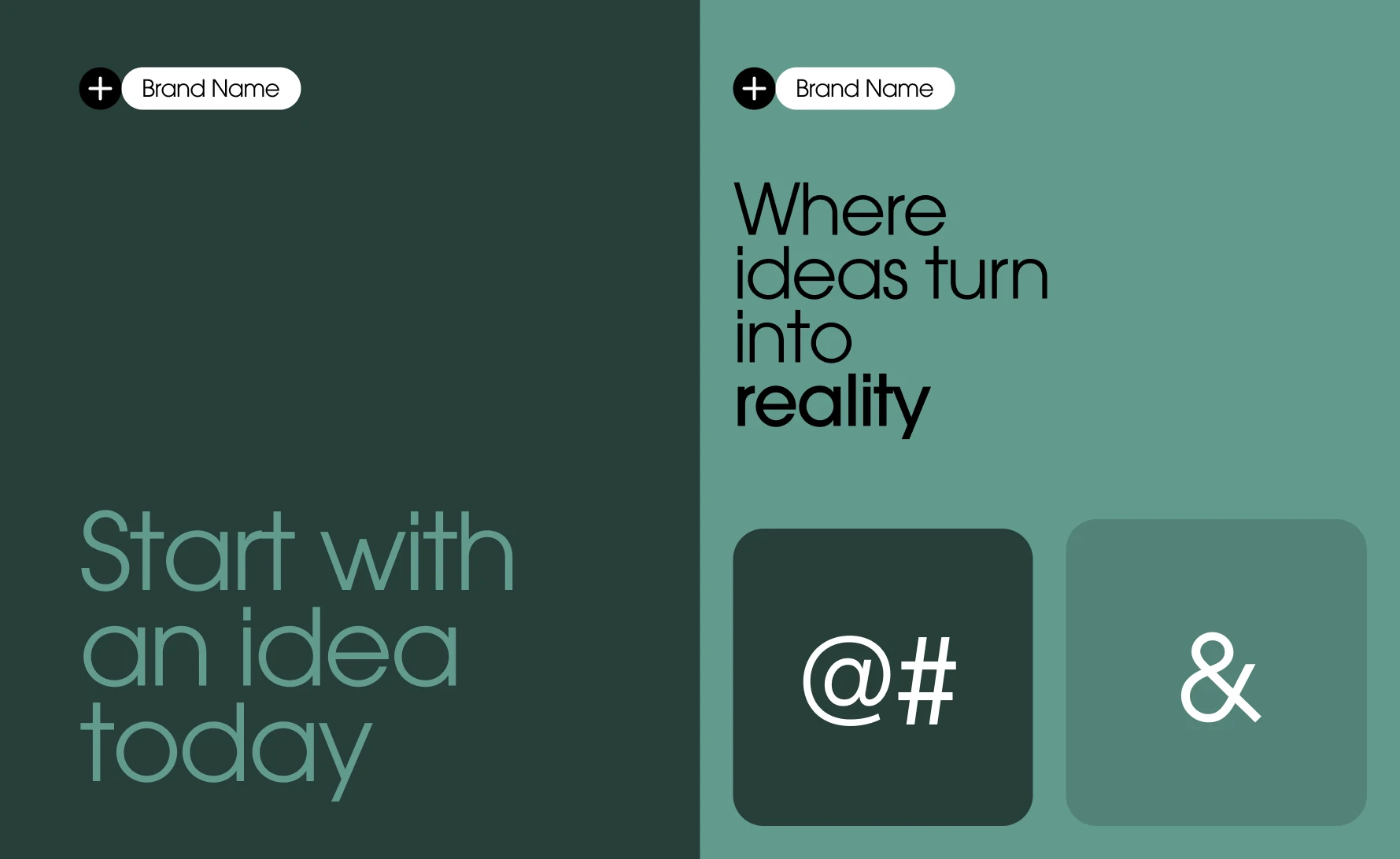 Creative photo, soft lighting