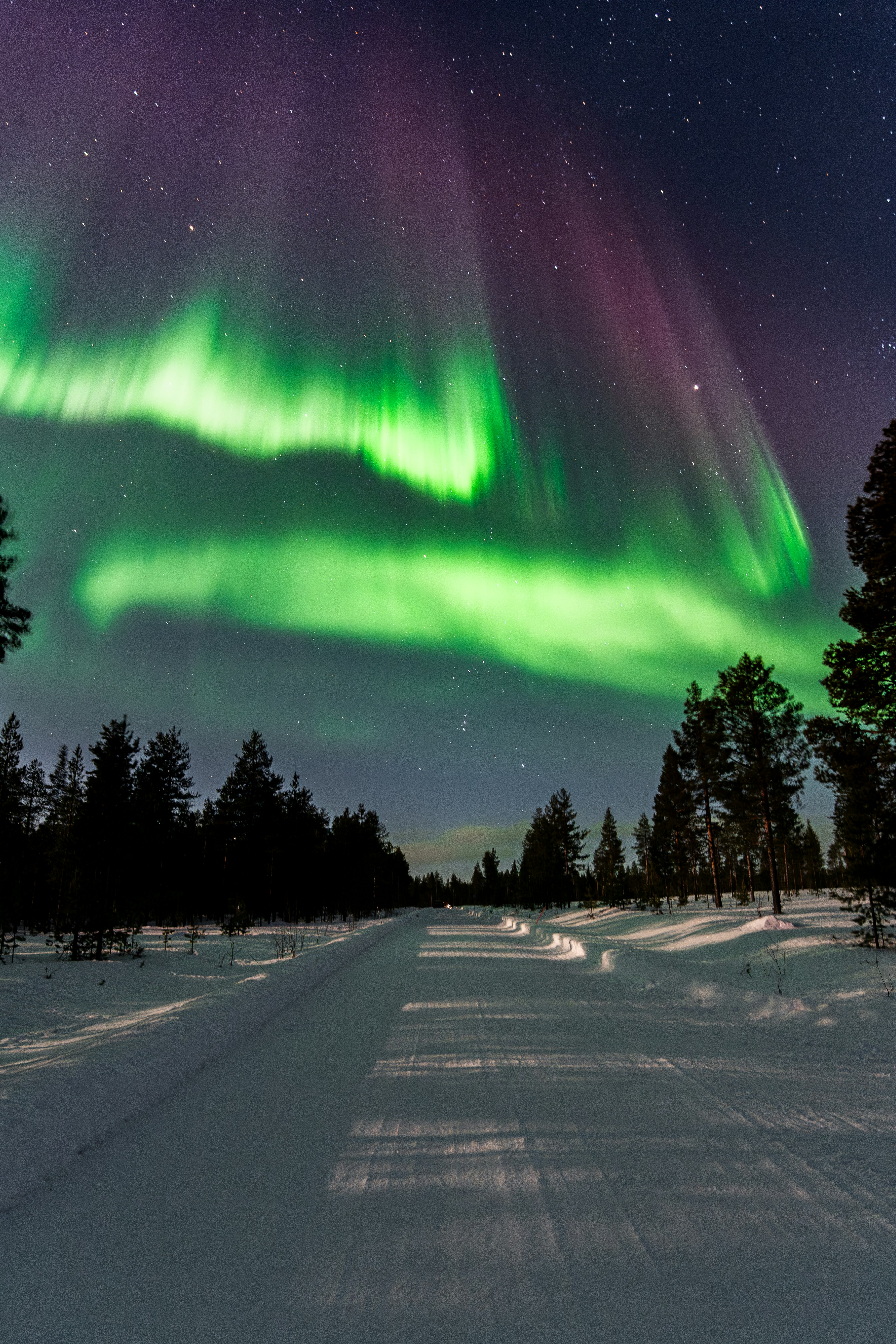 Green and purple aurora borealis over snowy forest road