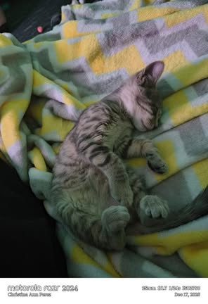 Christina P with Esme