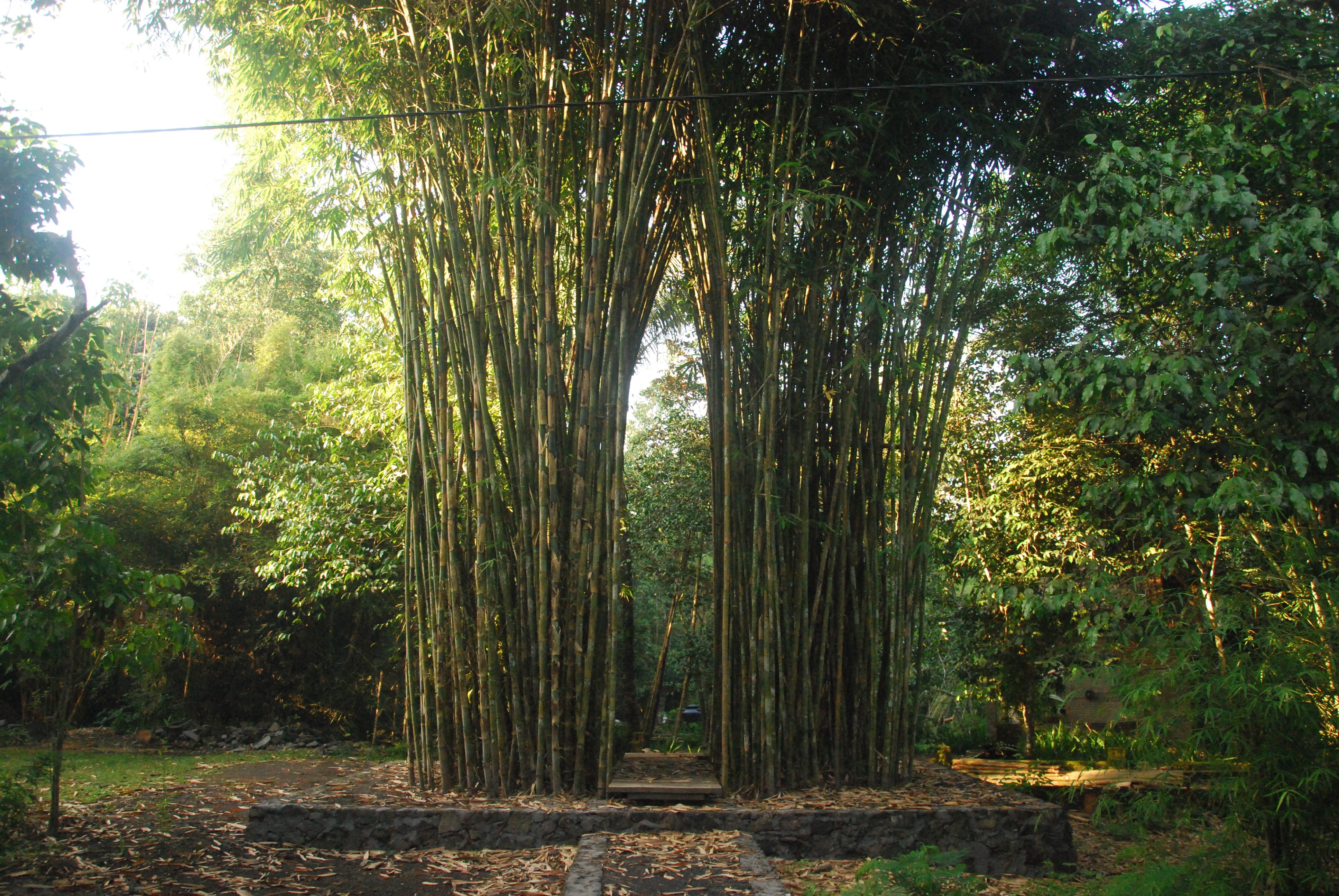 Liok Hap (Mind Gate / Lawang Awangen) - Ruas Bambu Nusa