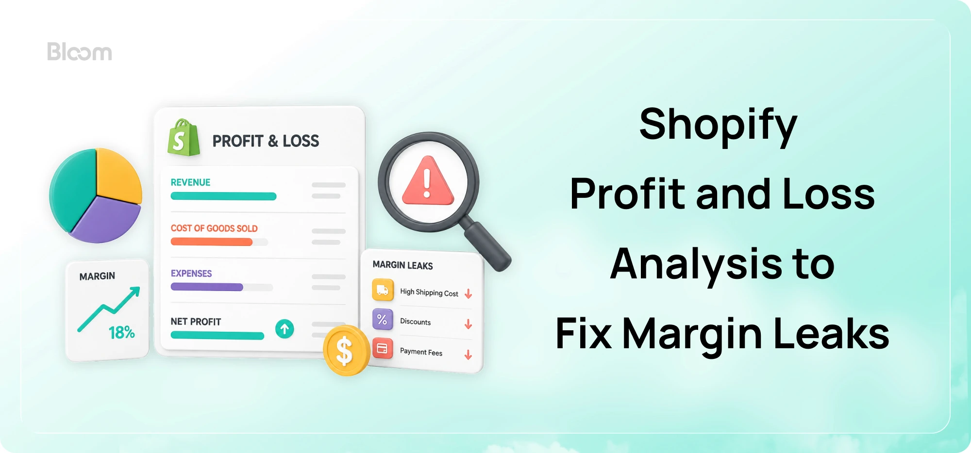 Shopify profit and loss