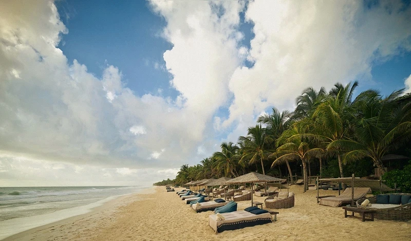 Maresias Beach Club Restaurant at Be Tulum: beachfront with sun loungers, umbrellas, surrounded by palm trees and a selvatic atmosphere.