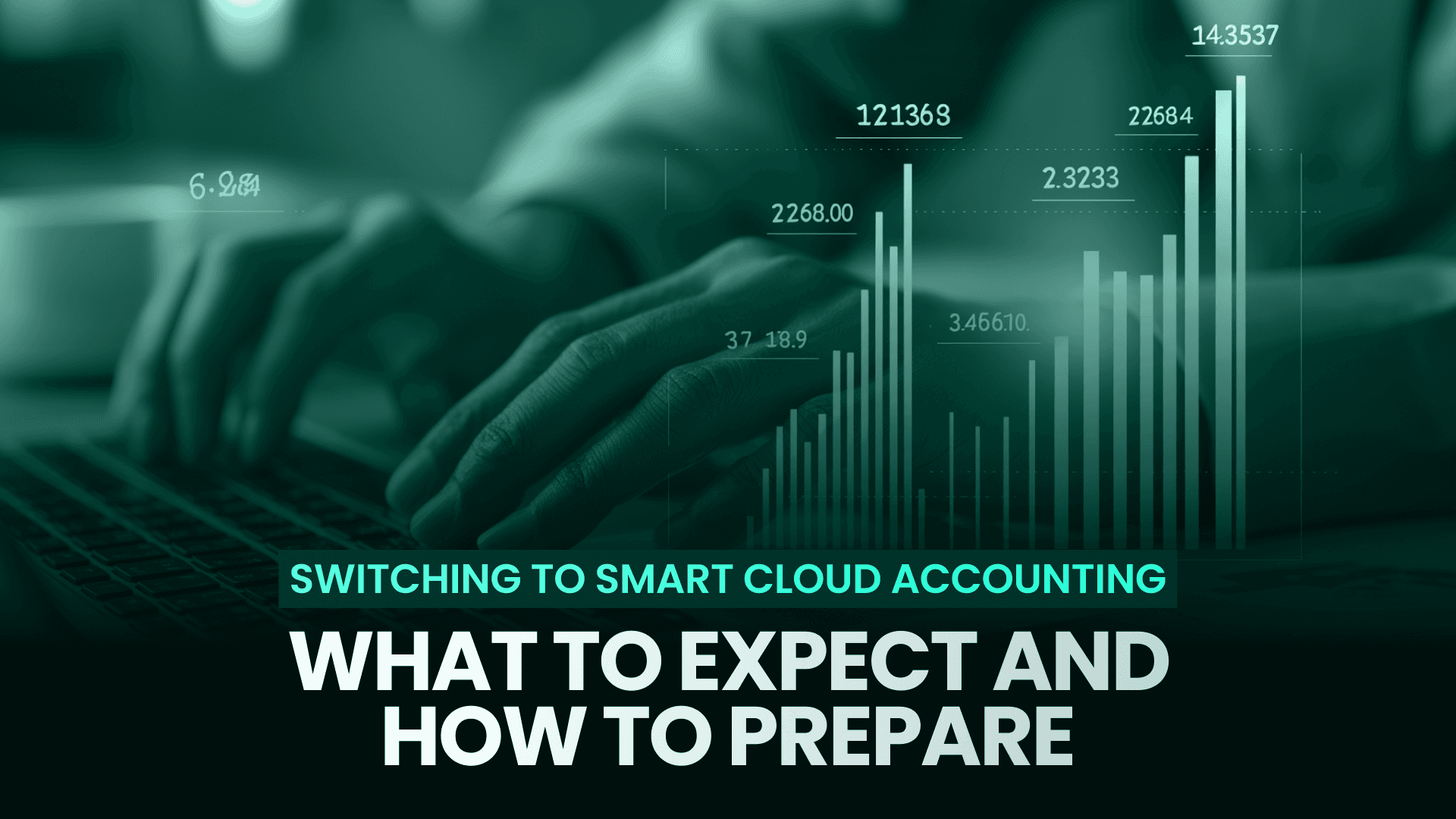 Switching to Smart Cloud Accounting
