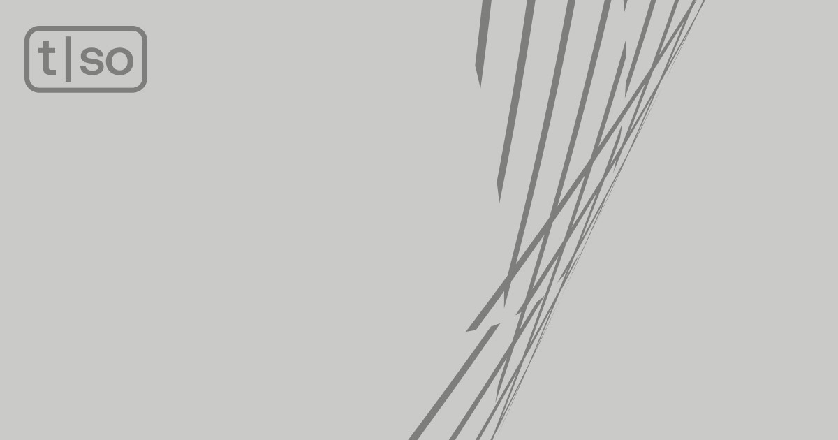Torso Electronics
