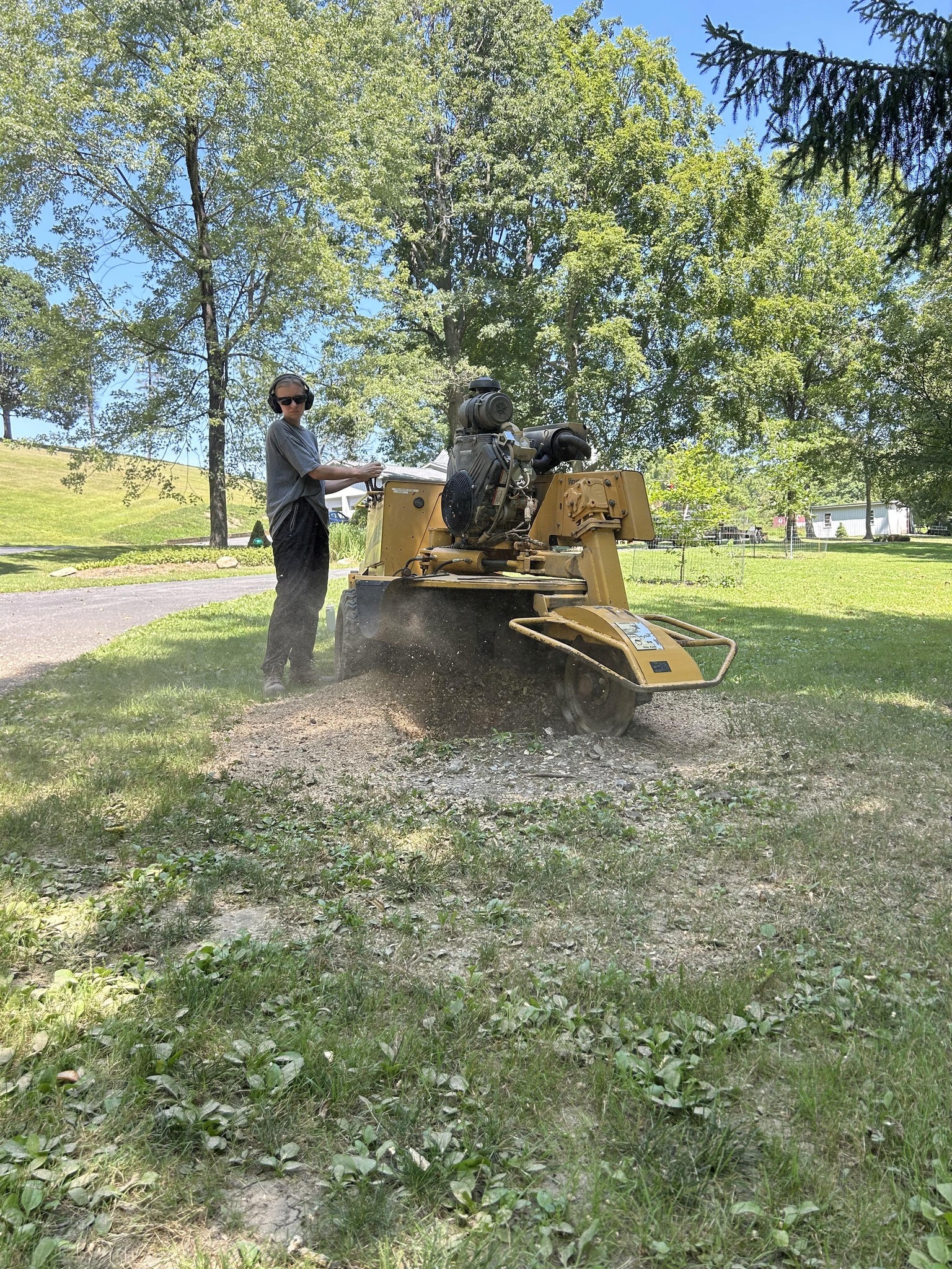 Gardener team at work