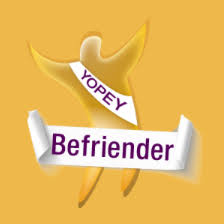 Silhouetted agapanthus flowers against a gradient sky.