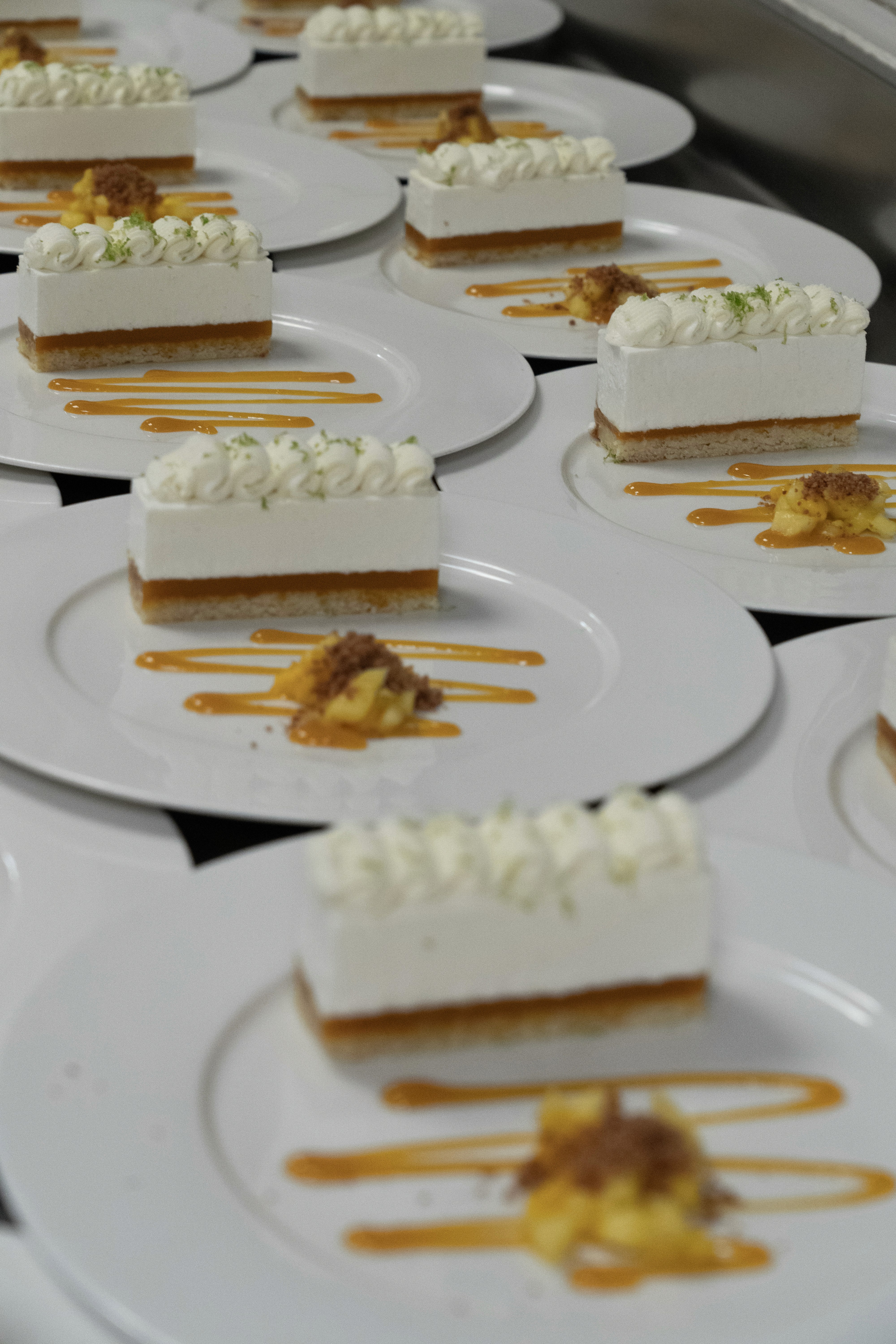 Founder, Renji Aalto looking at papers