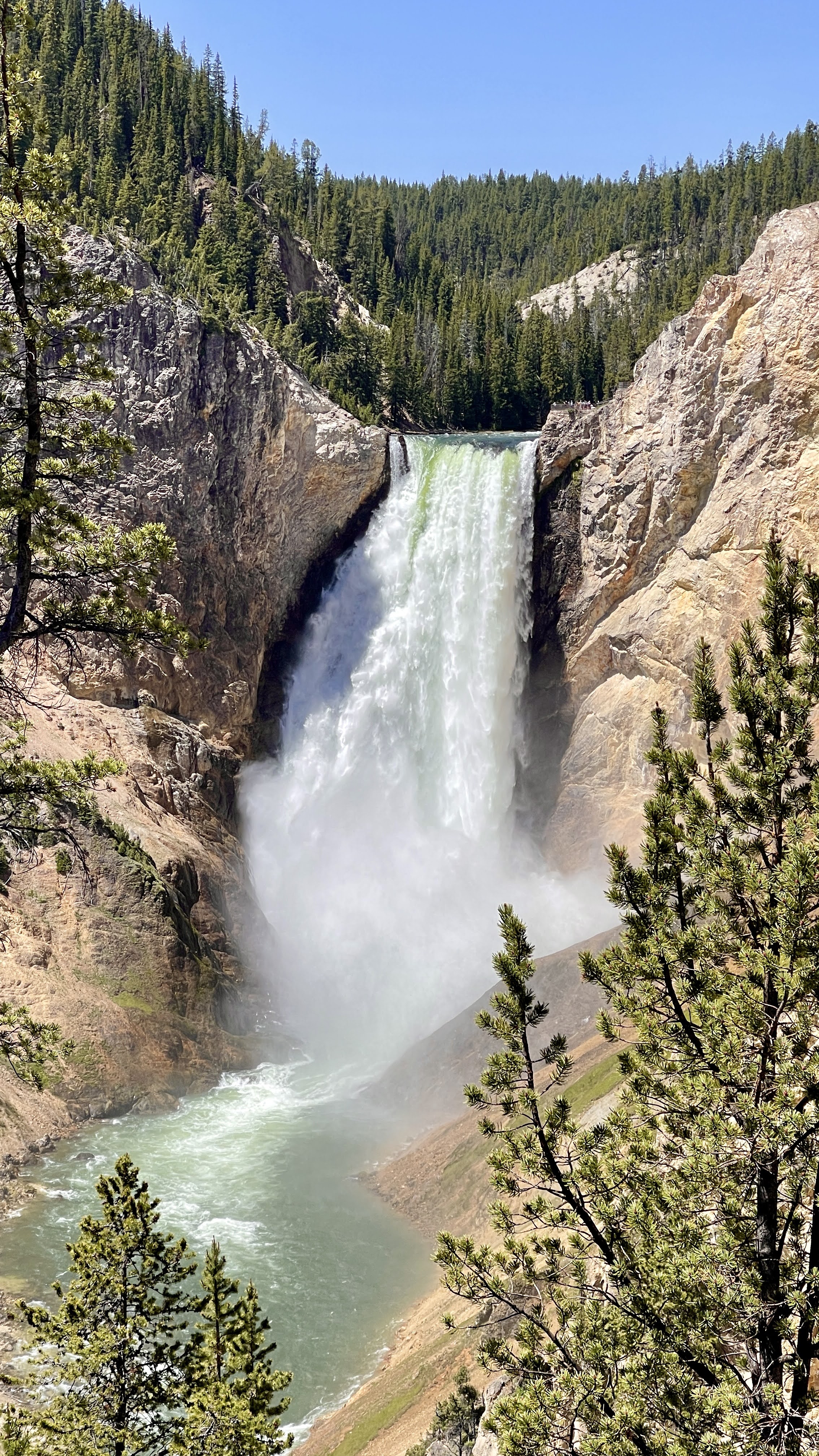 a wooden bridge over a river surrounded by trees