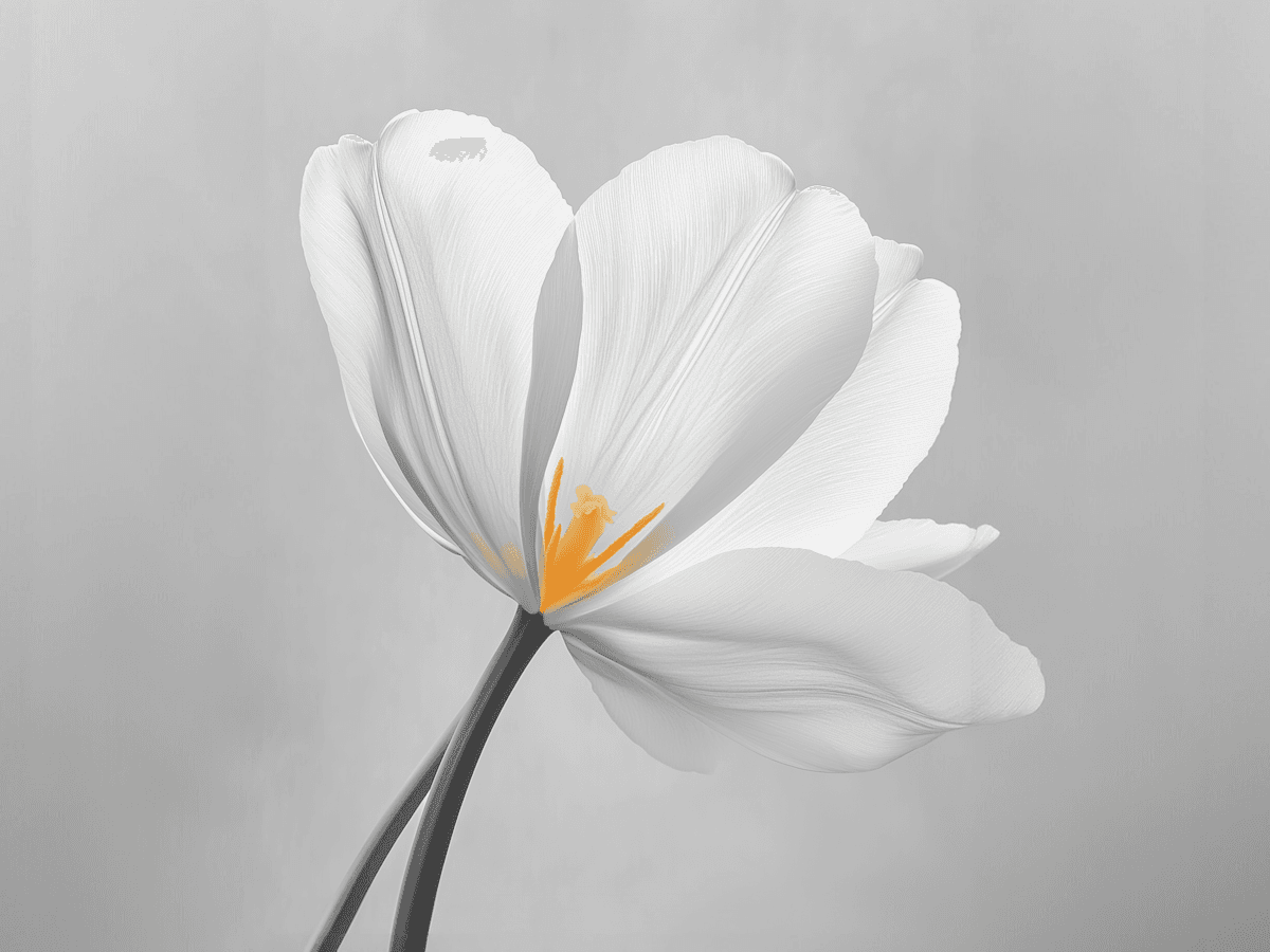 Vibrant botanical nature photograph celebrating rich floral color and fine seasonal texture for Flora Journal