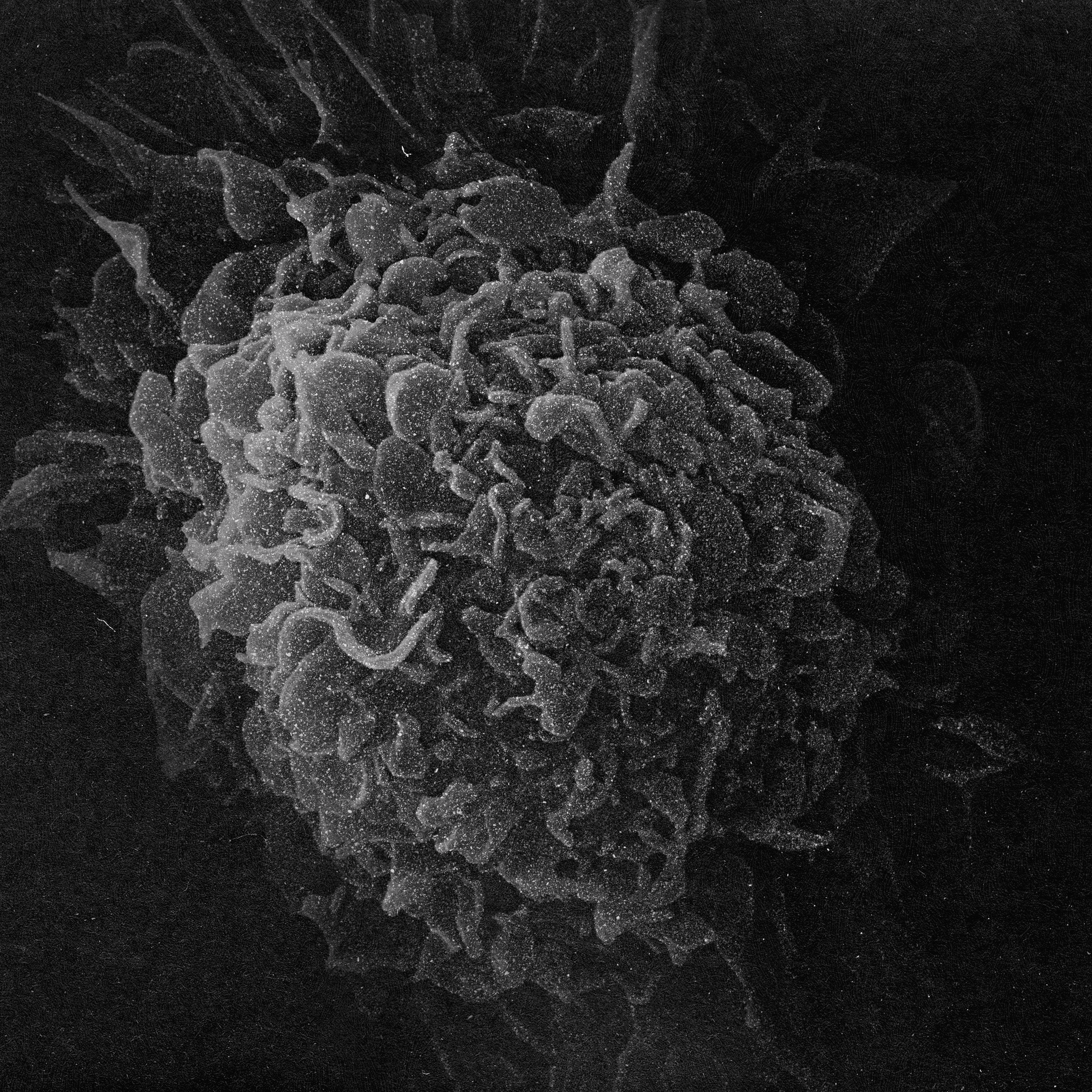 close up of the album cover