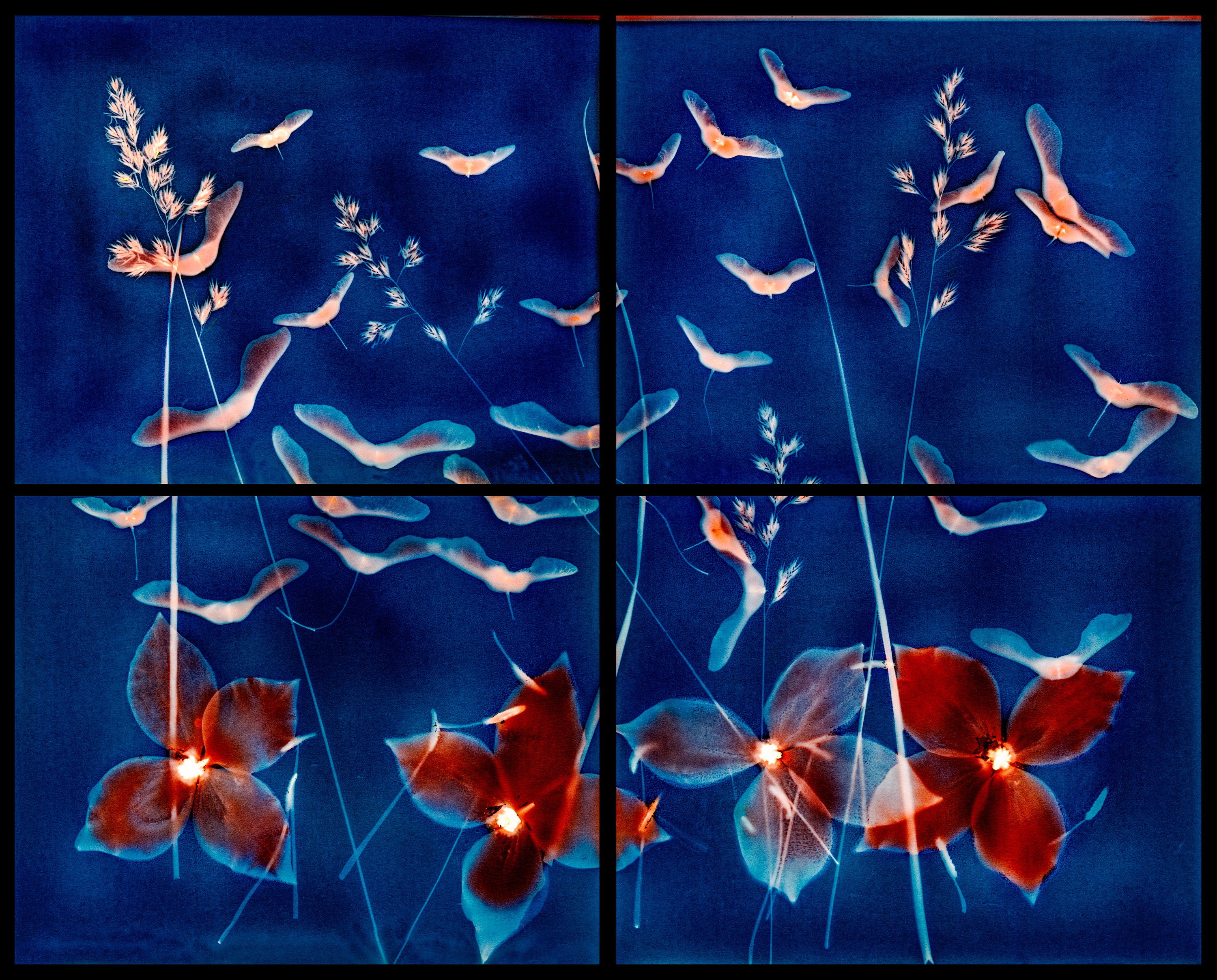 Bellingham Birds Flying by Kate Jordahl