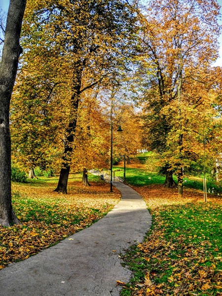 Neighborhood's highlights