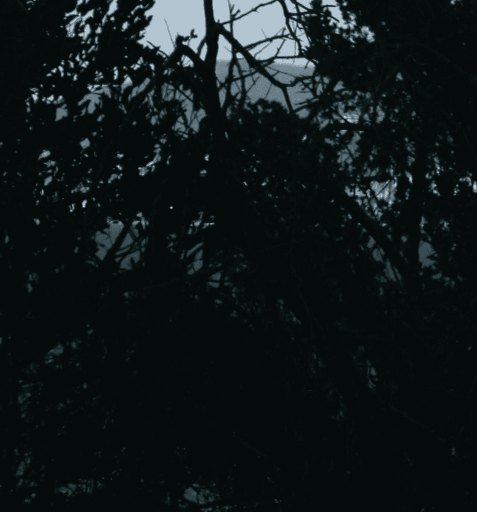 Explore more about us